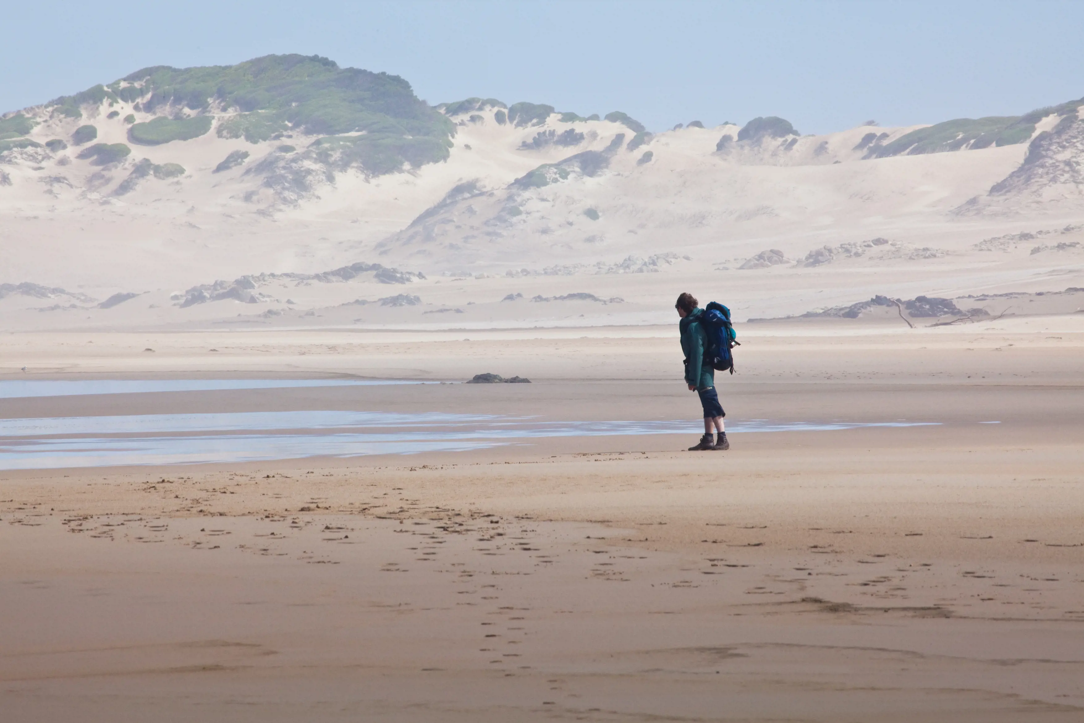 takayna / Tarkine coast walk