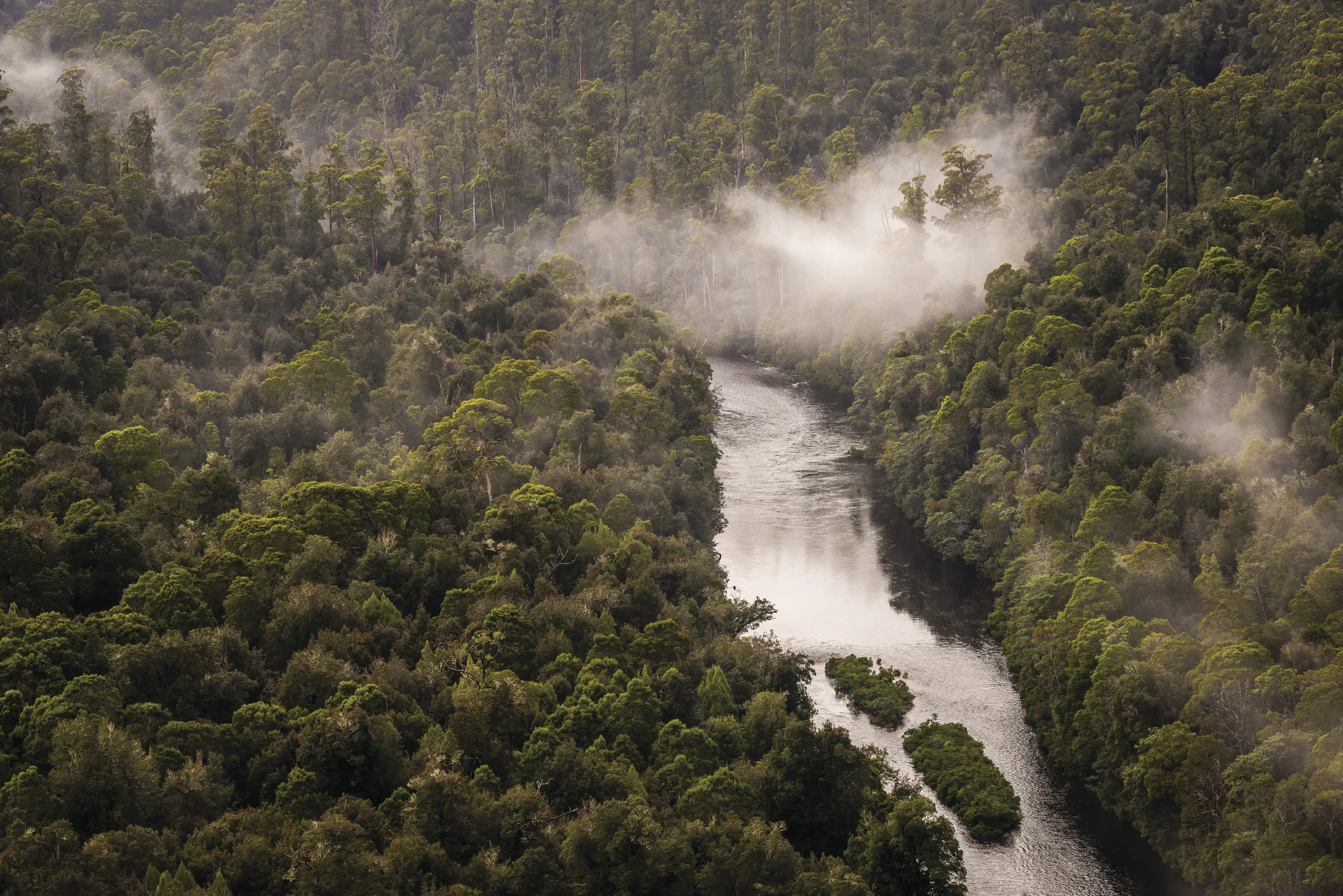 View of the Arthur River from Sumac Lookout, takayna / Tarkine. Mist flows through the trees that surround the river.