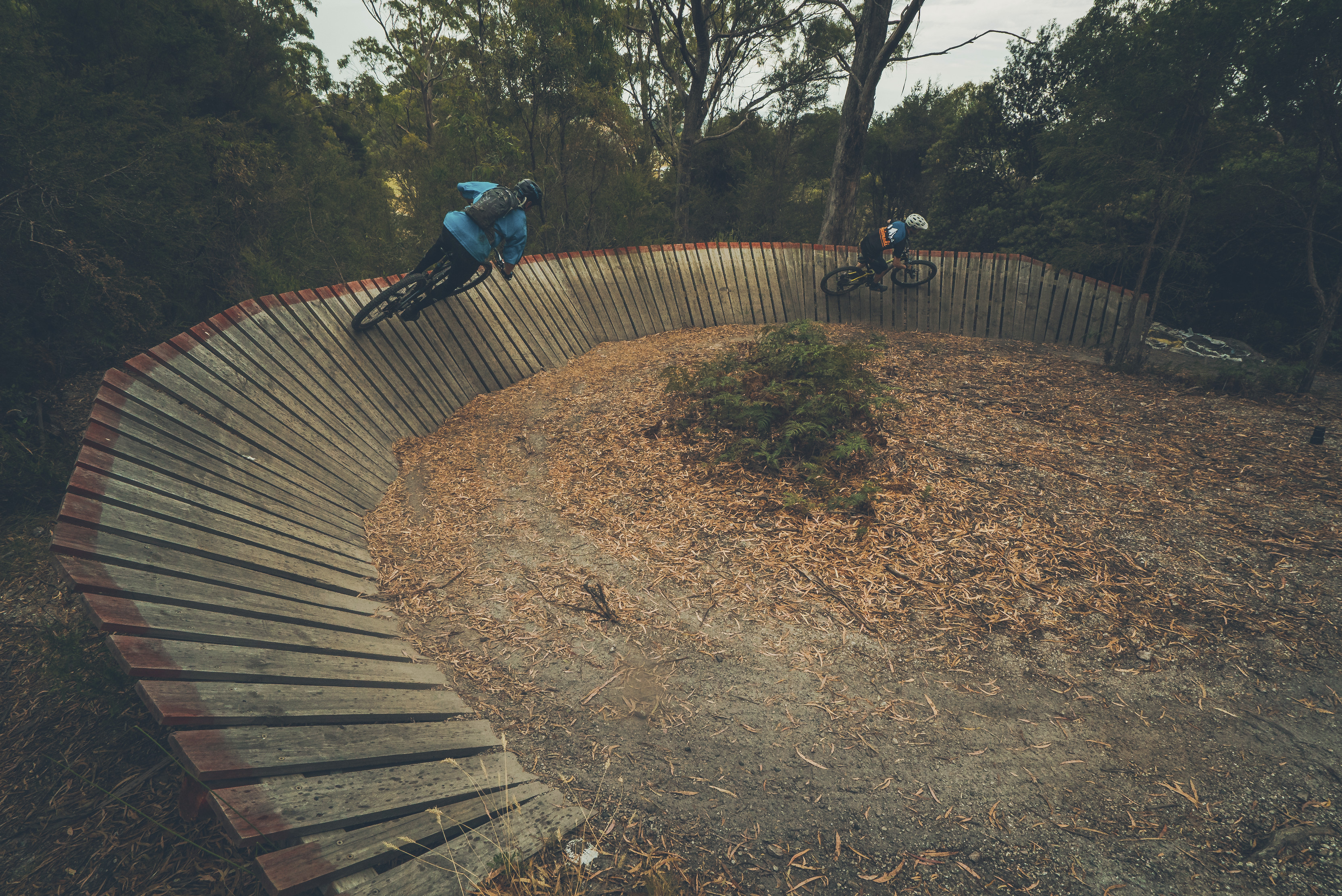 Two people riding their mountain bike around a wooden berm surrounded by lush bushland, located at the Penguin Mountain Bike Park.