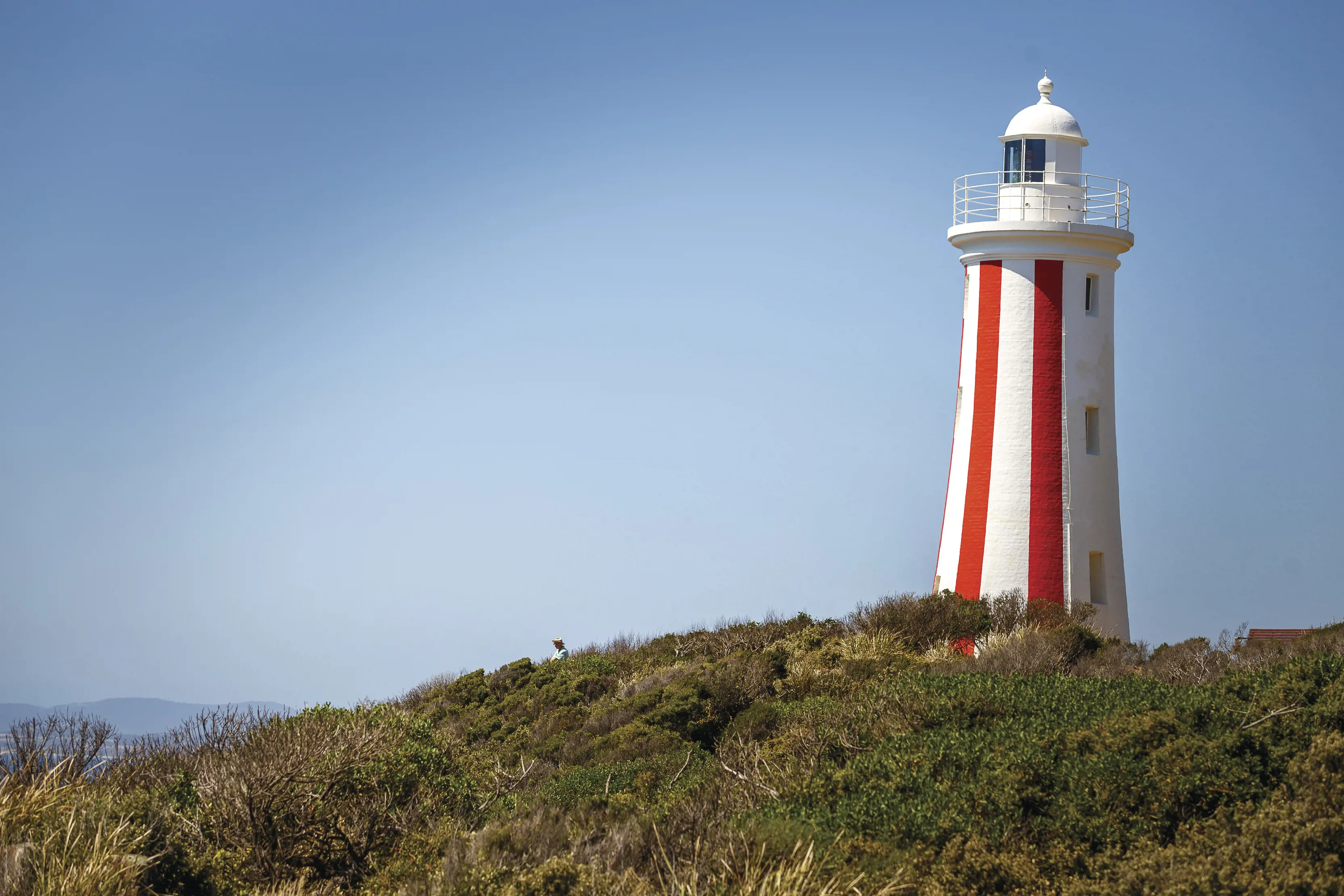 A vibrant image of Mersey Bluff Lighthouse upon the hill filled with bush, accompanied by clear, blue sky.