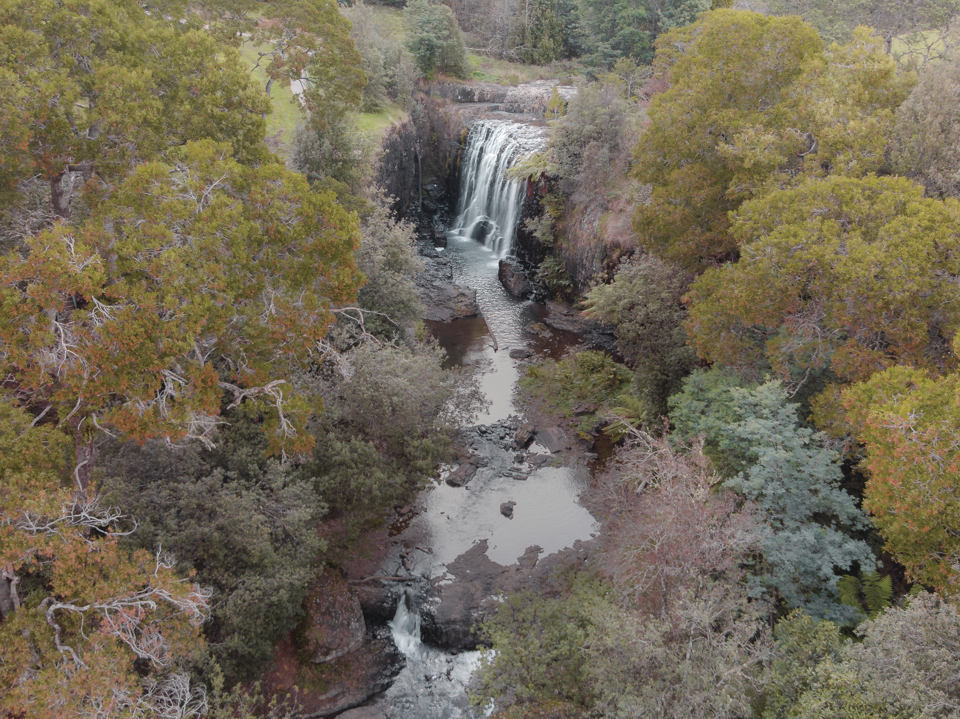 Guide Falls Reserve, a beautiful place for picnic or BBQ. Surrounded by lush trees.