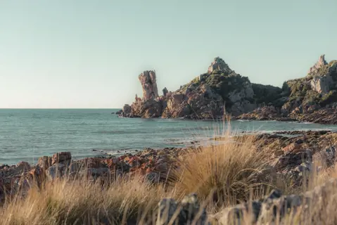 Image of the Rocky Cape Circuit Track, Rocky Cape National Park. Bush and rocks fill the foreground with the ocean in the background.