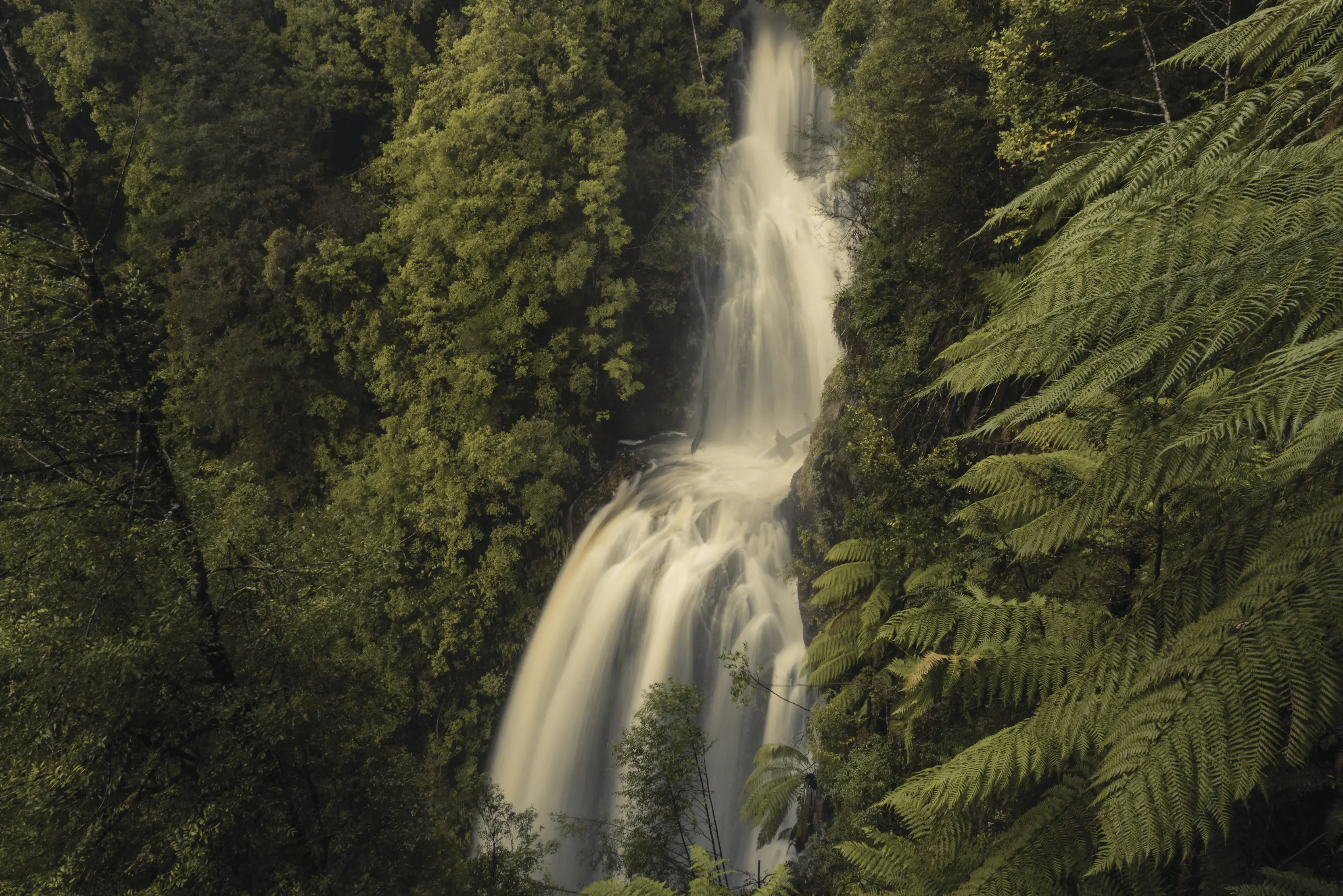 Breathtaking and vibrant image Philosopher Falls from above.