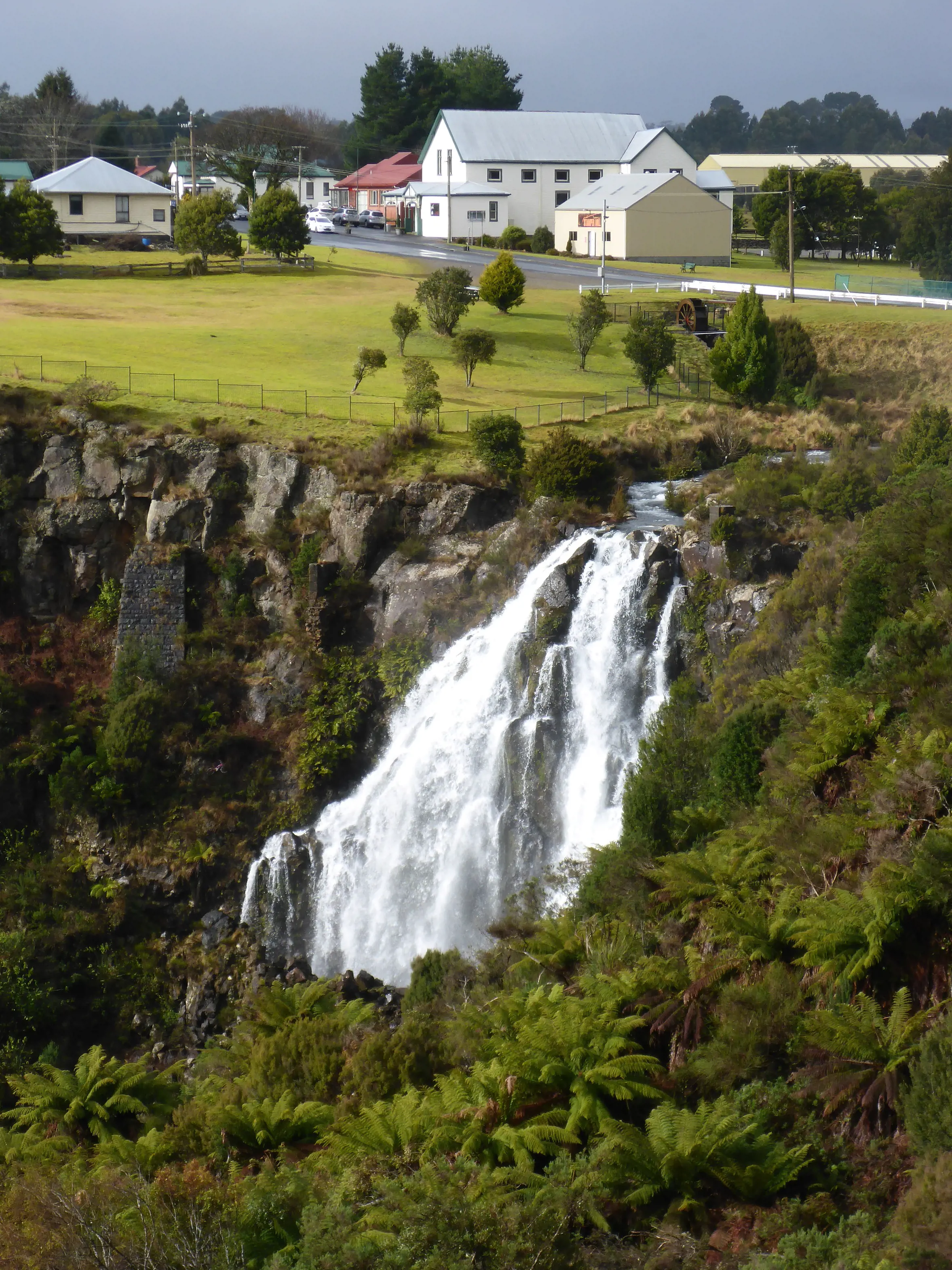 Waratah Falls sits in the centre of the image with buildings from the historic town of Warath sit above in the background while ferns fill the foreground.