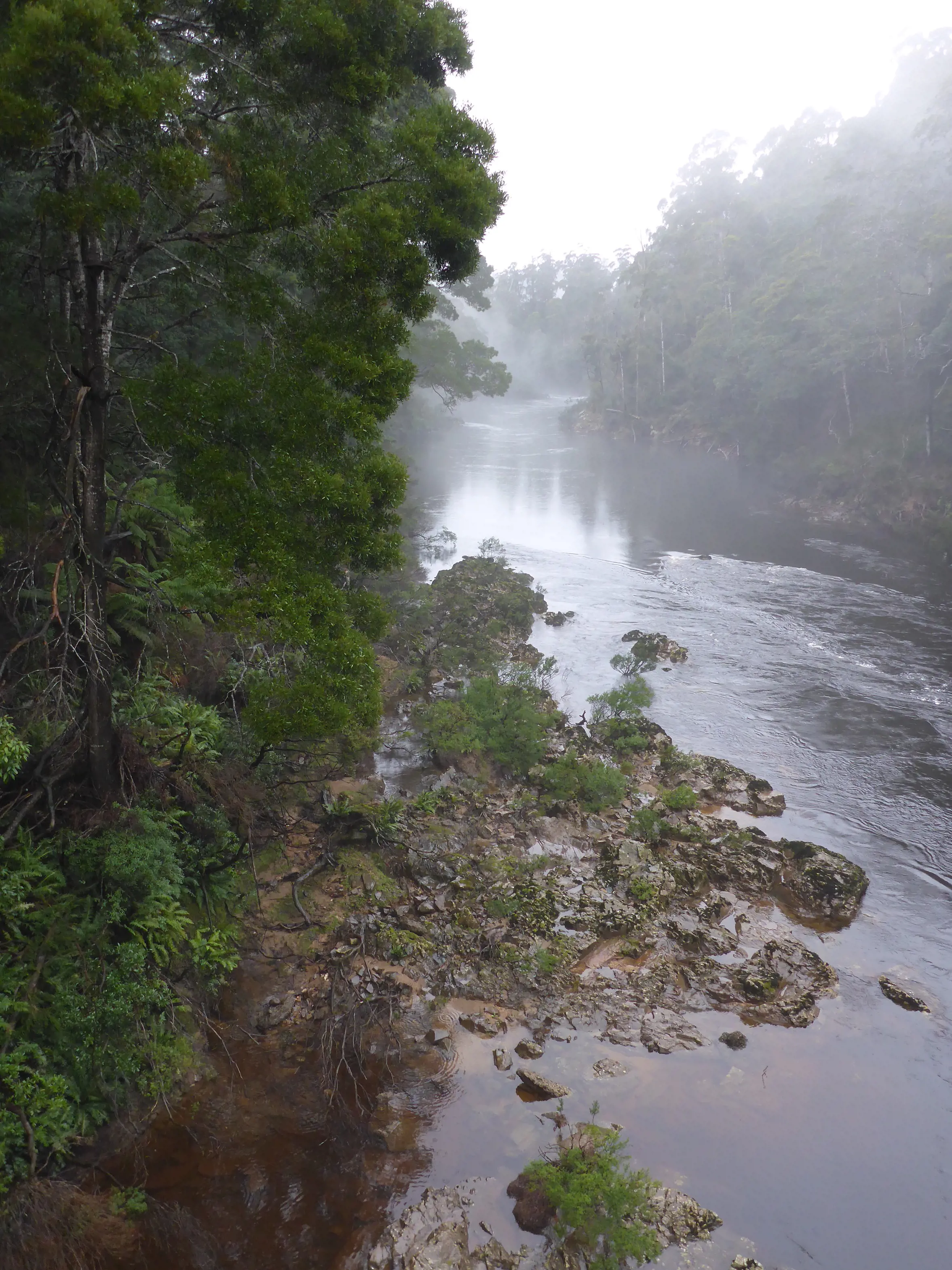 Image of Arthur River on a misty day with lush, green trees and rocks meeting the river.