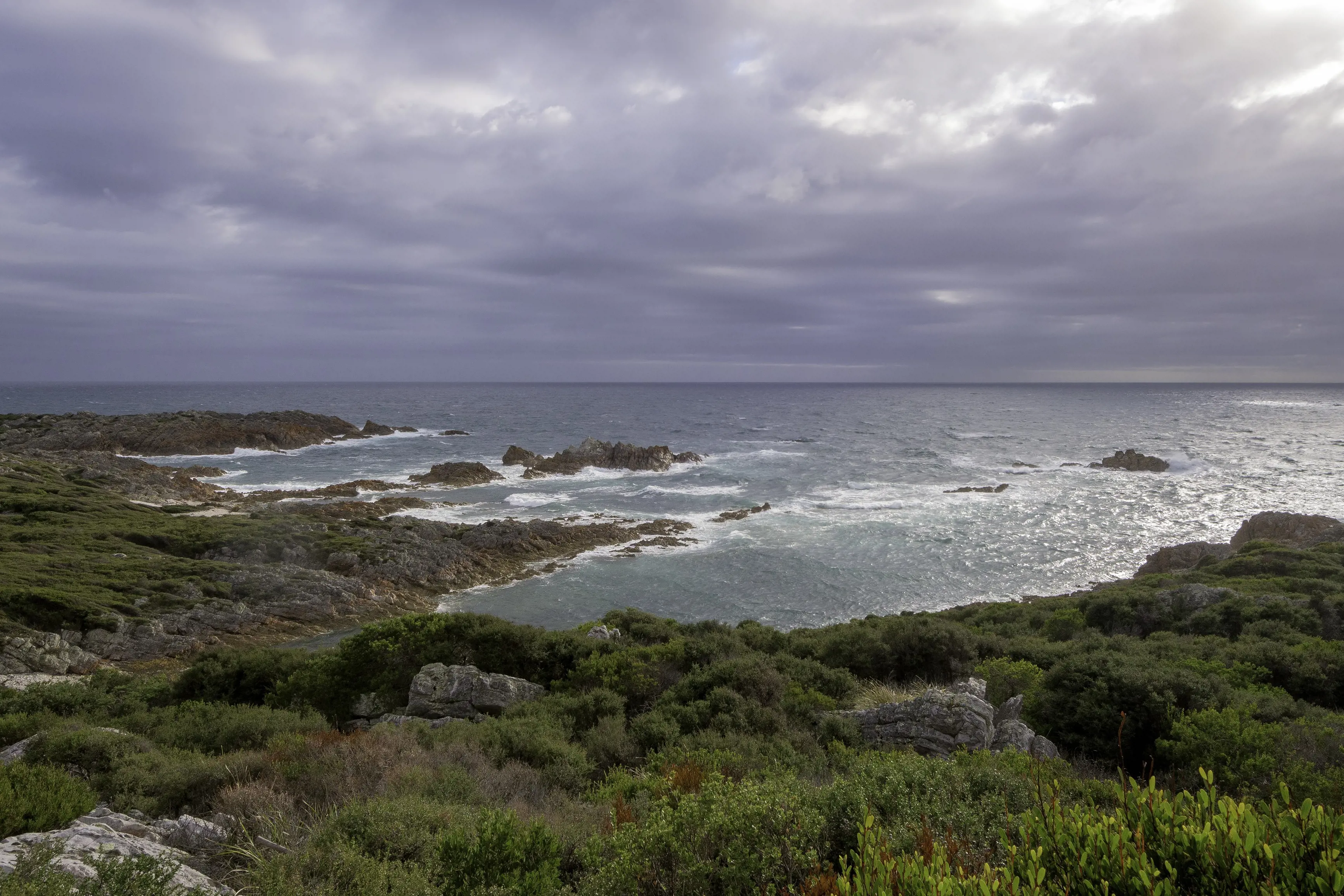 Stunning image of the Rocky Cape National Park coastline. Surrounded by bush and rocks that lead to the ocean.