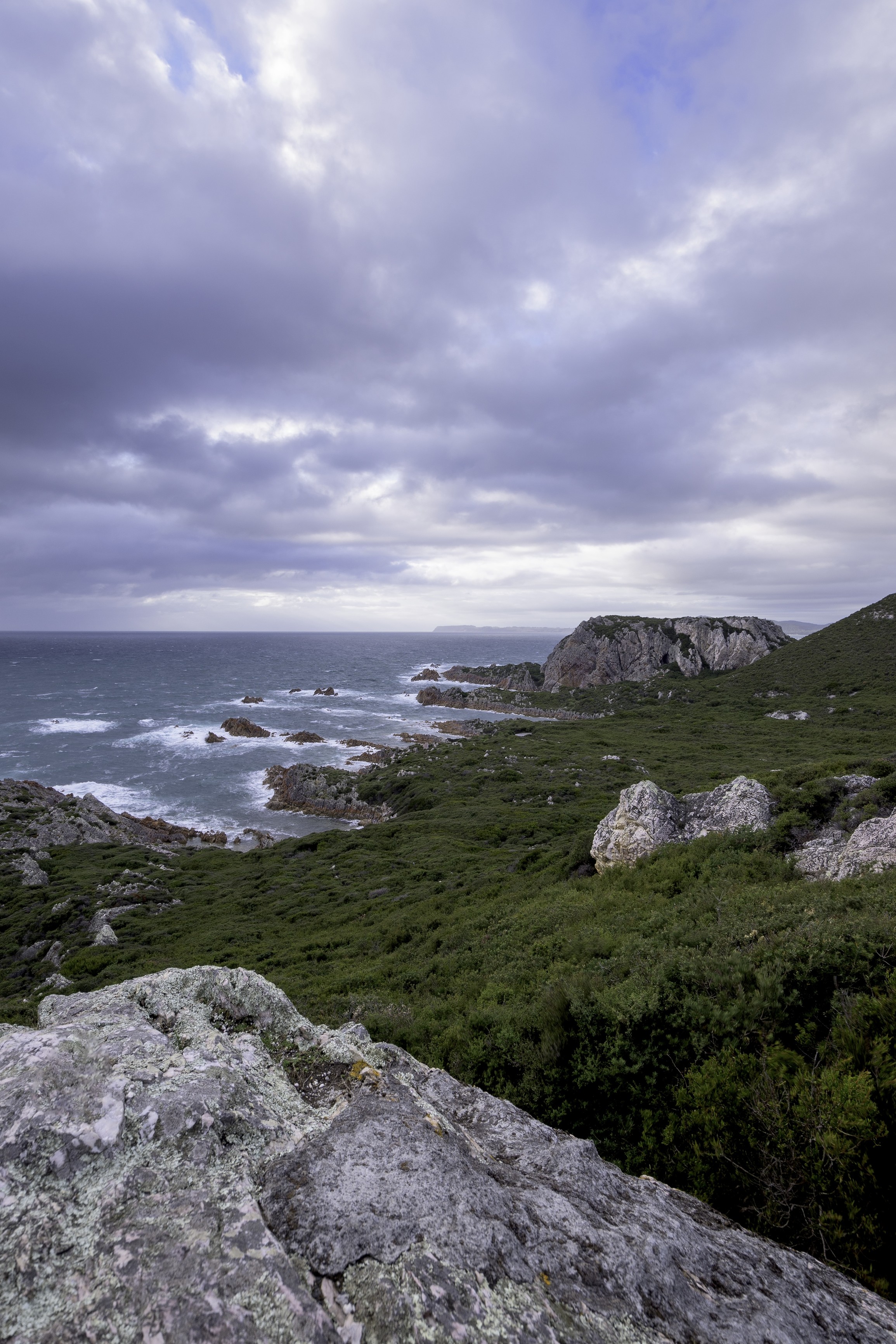 Rocky Cape National Park coastline. Surrounded by bush and larger rocks that lead to the ocean.