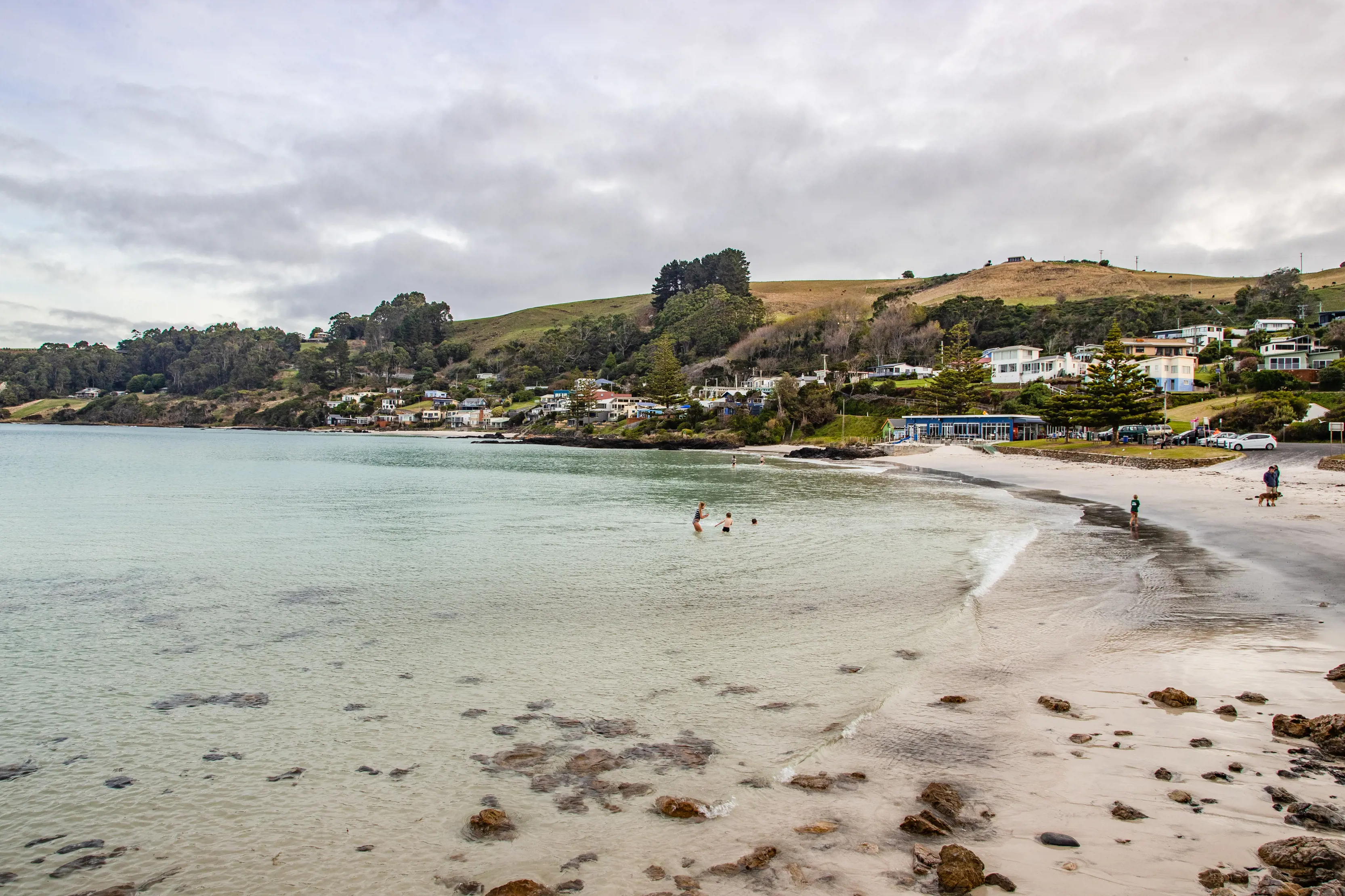 Three people in the ocean and two people and a dog by the shore of Boat Harbour.