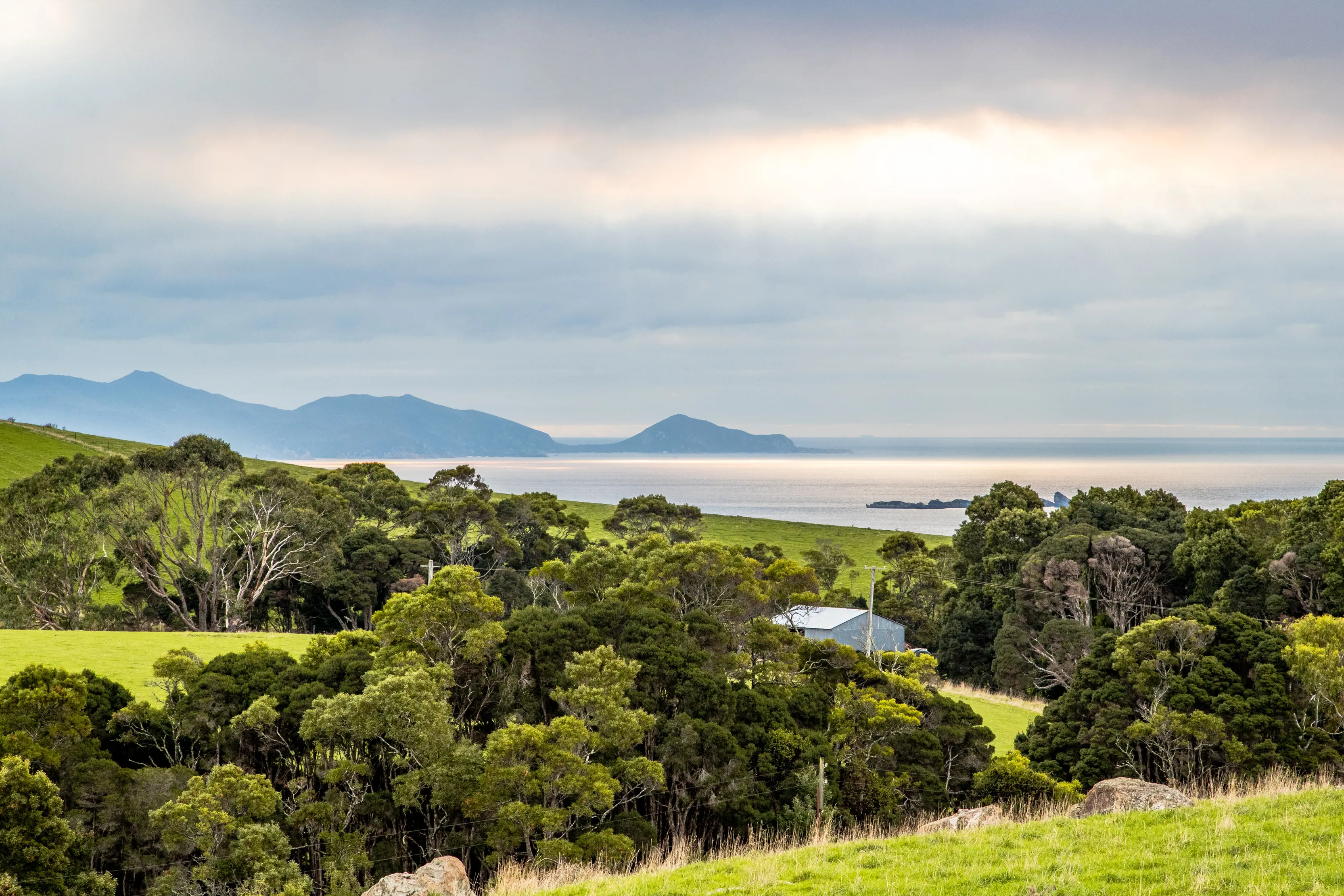 Lush valleys of the farmland with a stunning view of the ocean. Filled with trees and a small blue farm shed in between within the valley.