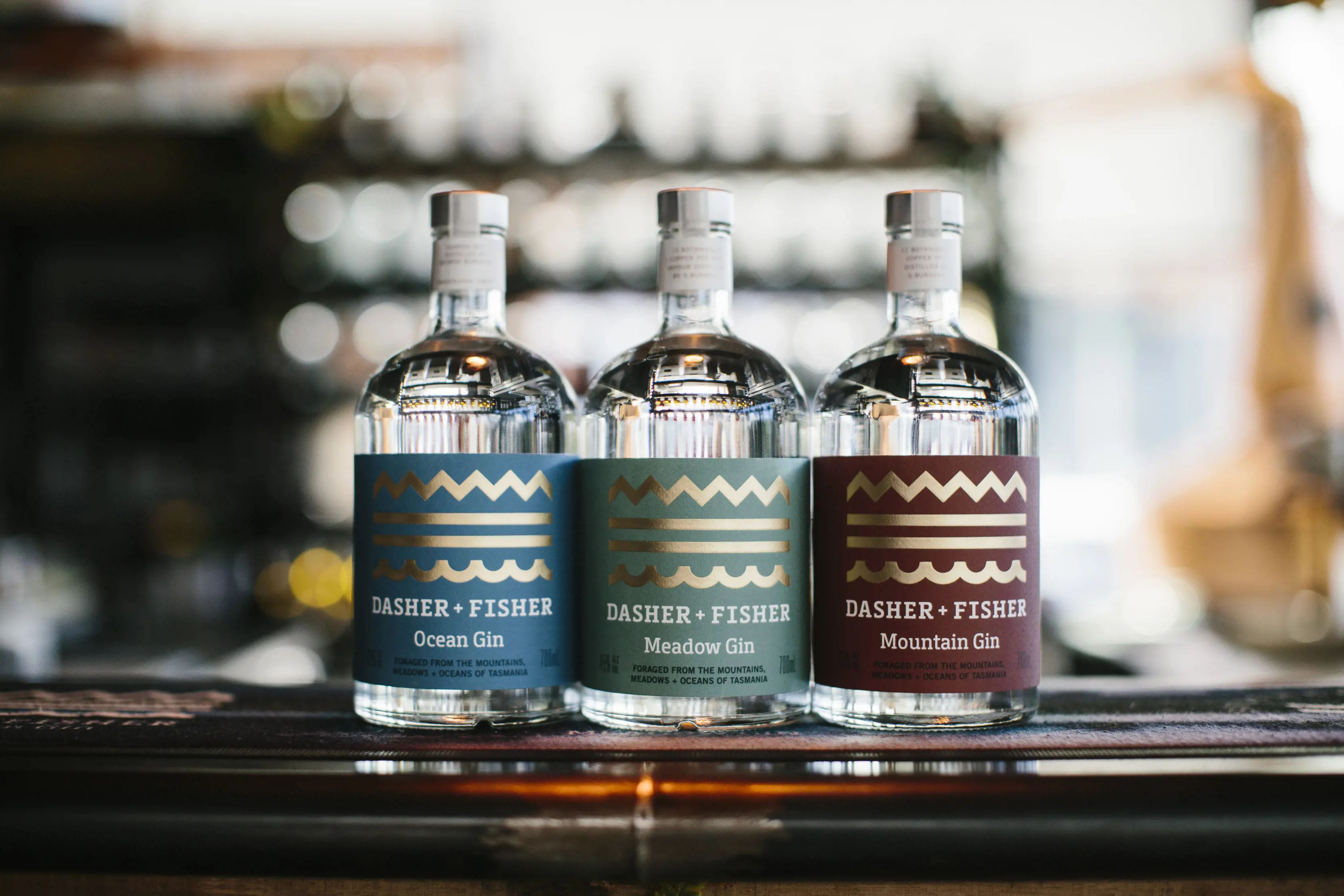 "Image of Southern Wild Distillery's Dasher and Fisher Gin and their three different flavours. "