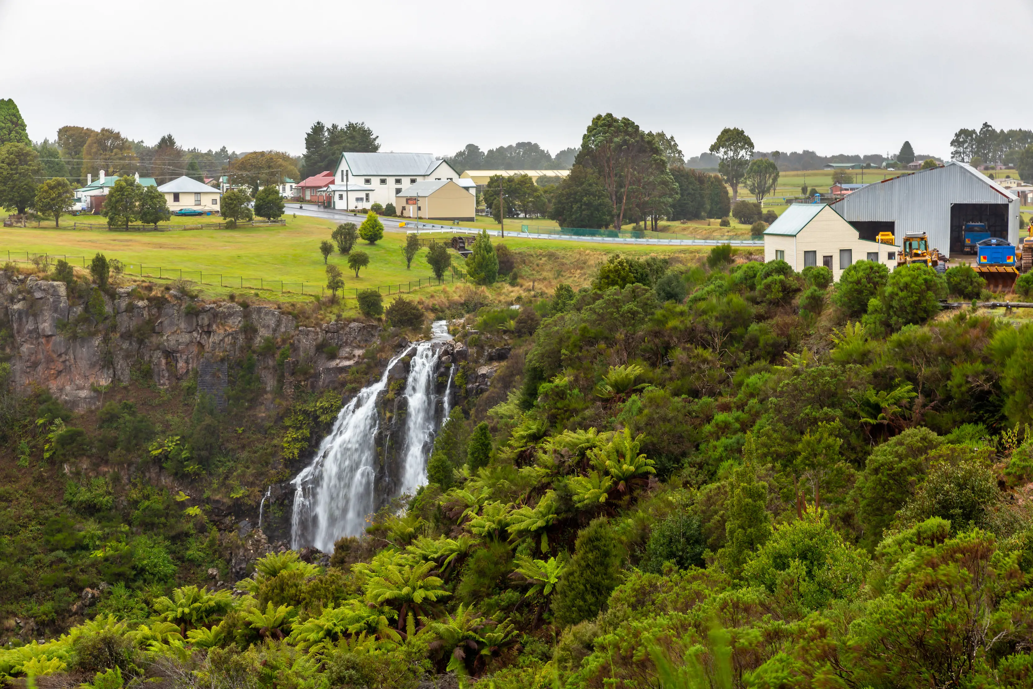 Wide angle view of Waratah Falls with buildings from the historic town of Warath sit above in the background while ferns fill the foreground.