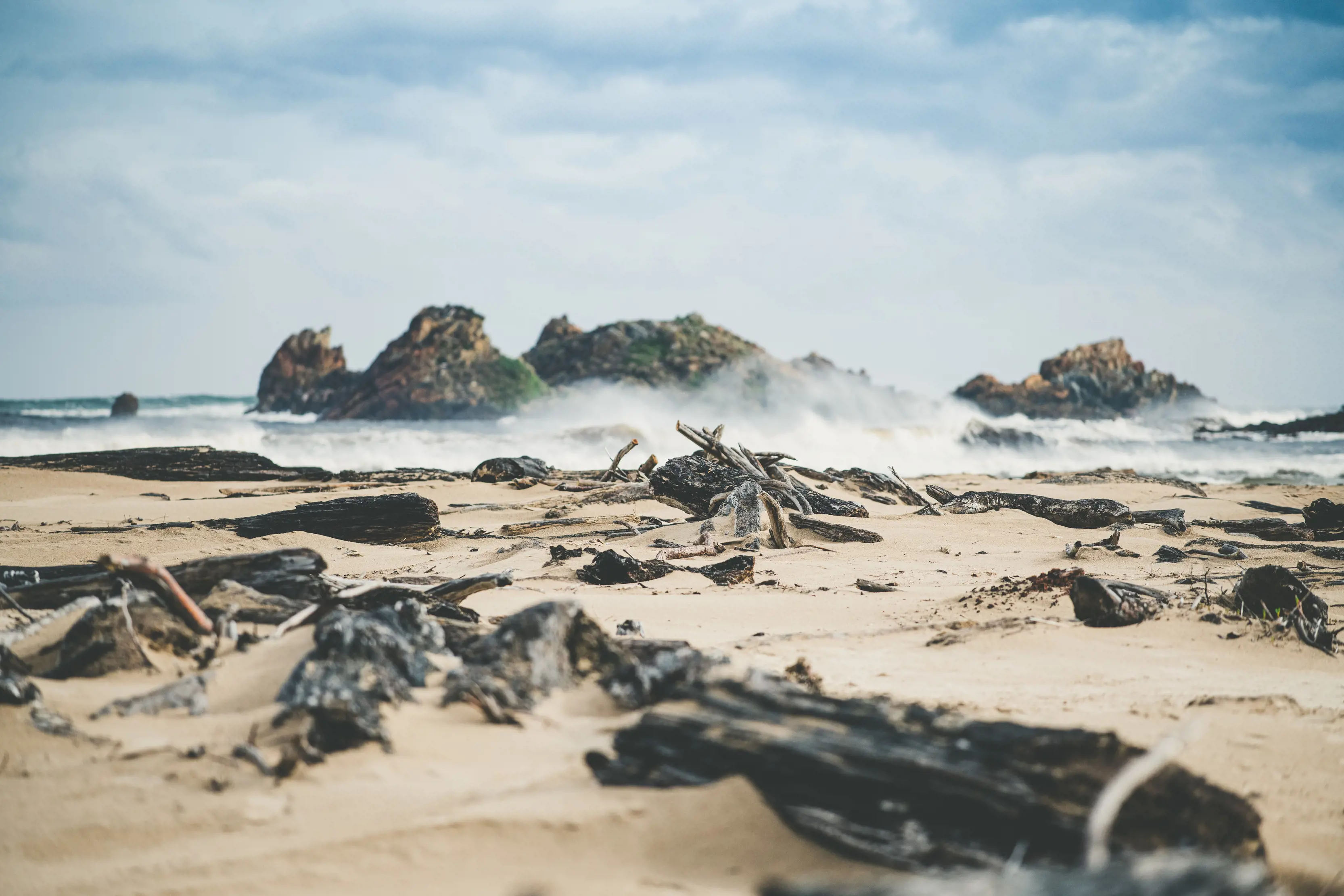 Burnt wood in the sand fills the foreground of the image with a breaking wave and rocks fill the background of the image. Located at Gardiner Point. 