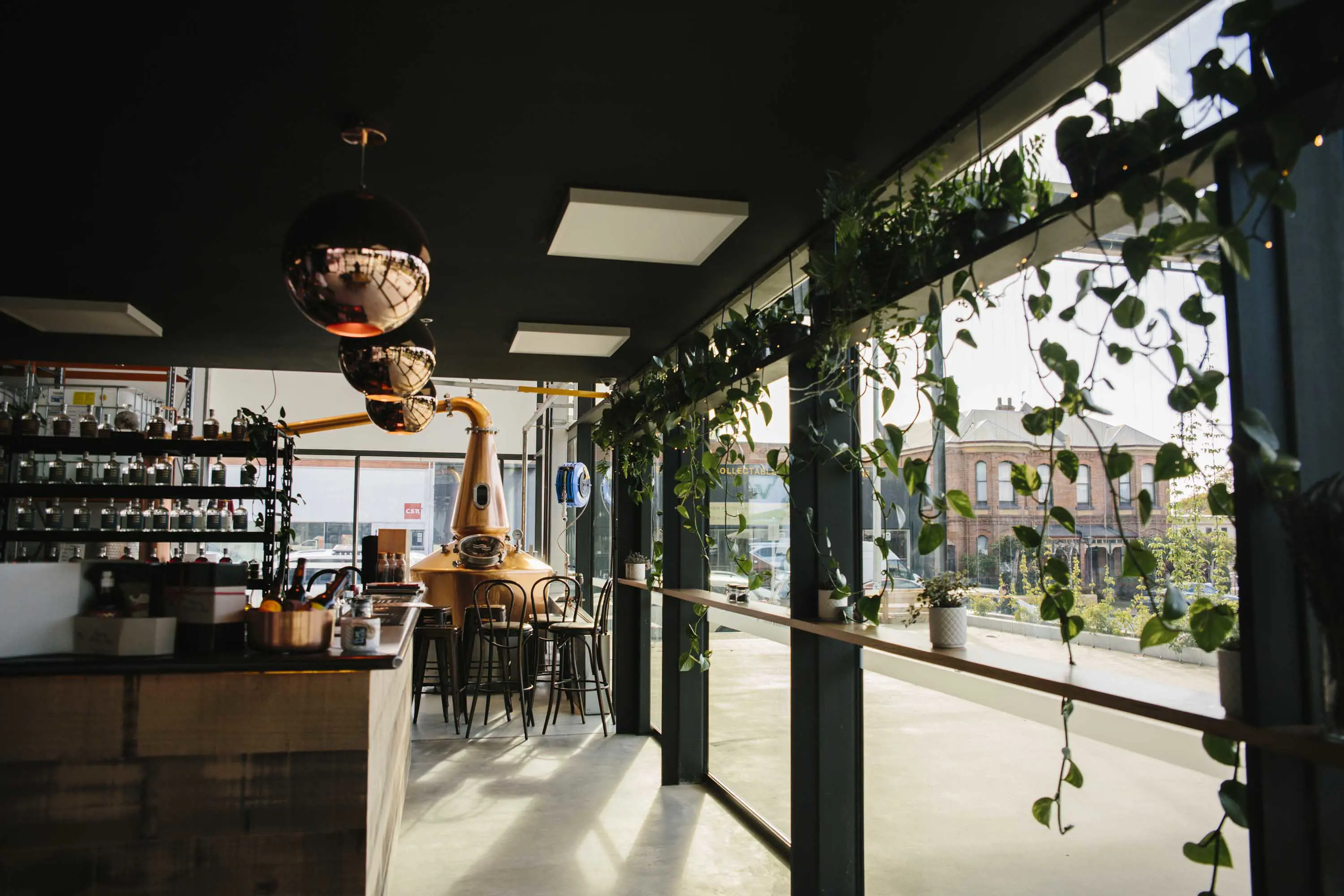 A sunlit interior with a wooden bar, brass still in one corner and handing plants in the windows.