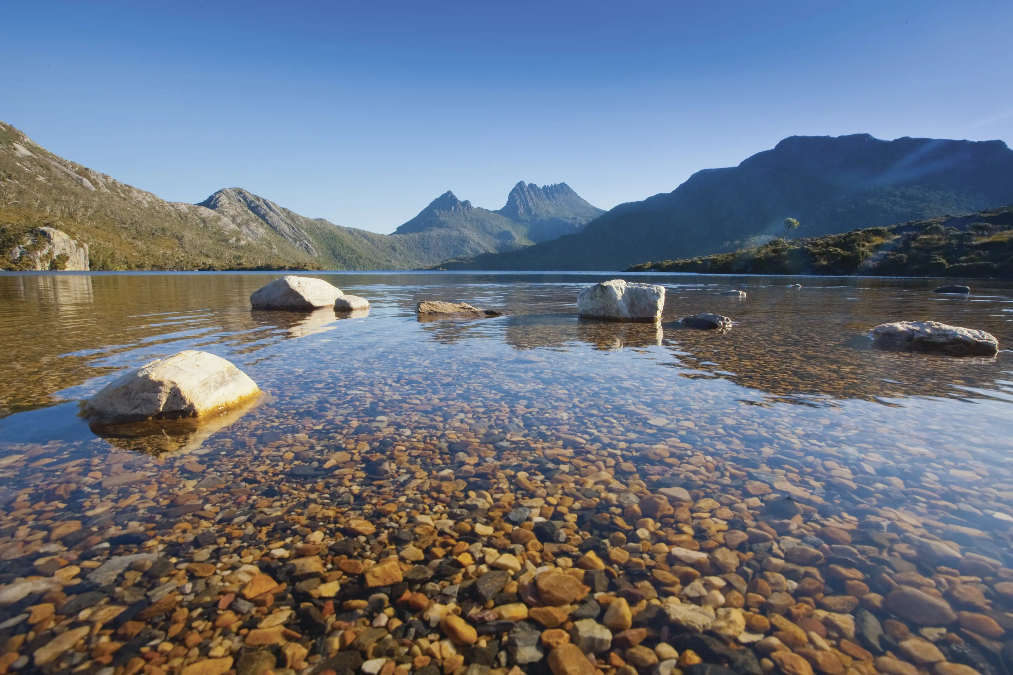 Low angle from the water, looking up at Lake Dove and Cradle Mountain