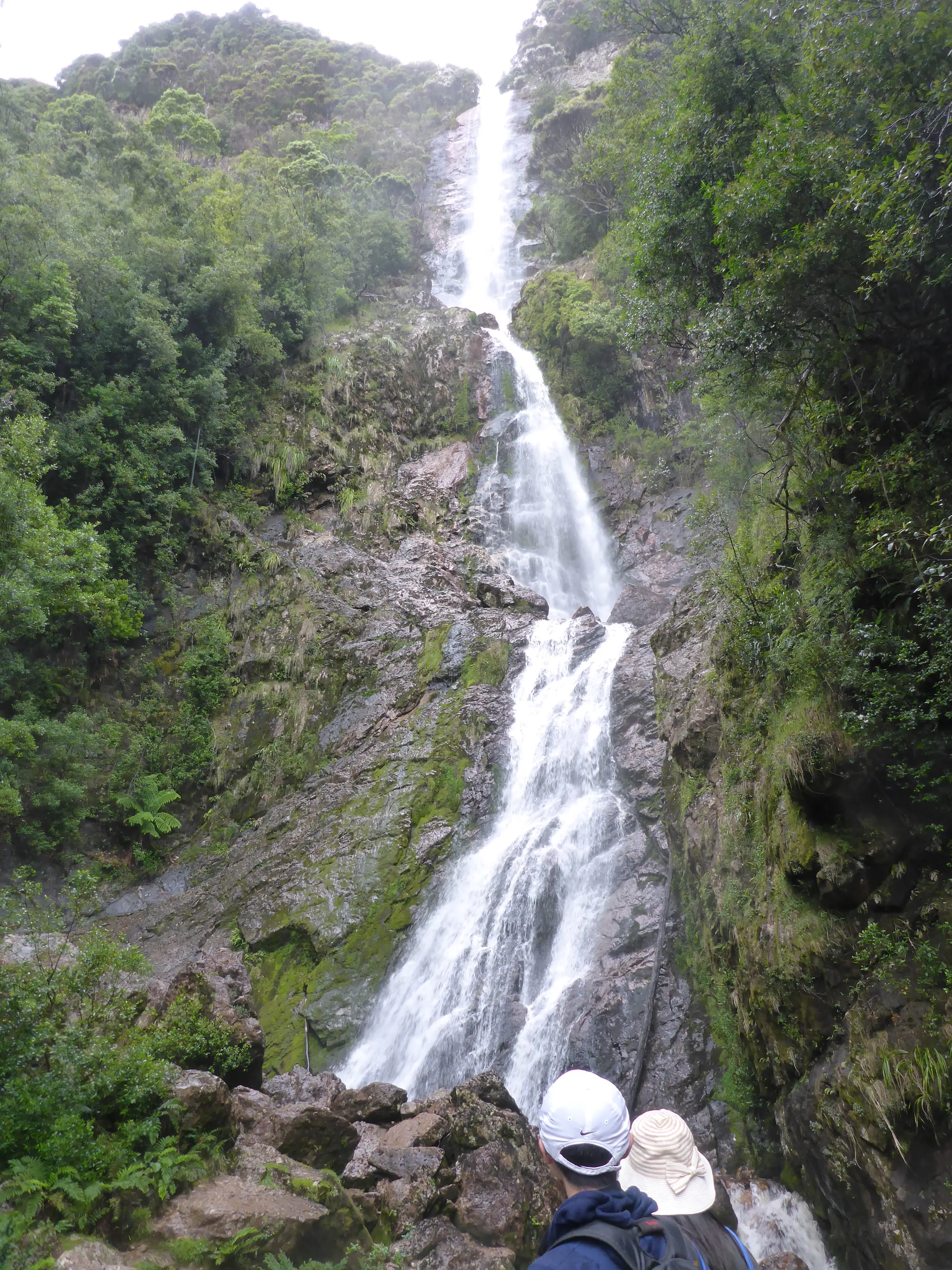 A bottom up view of Tasmania's highest waterfall. Cascading at 104 meters. 