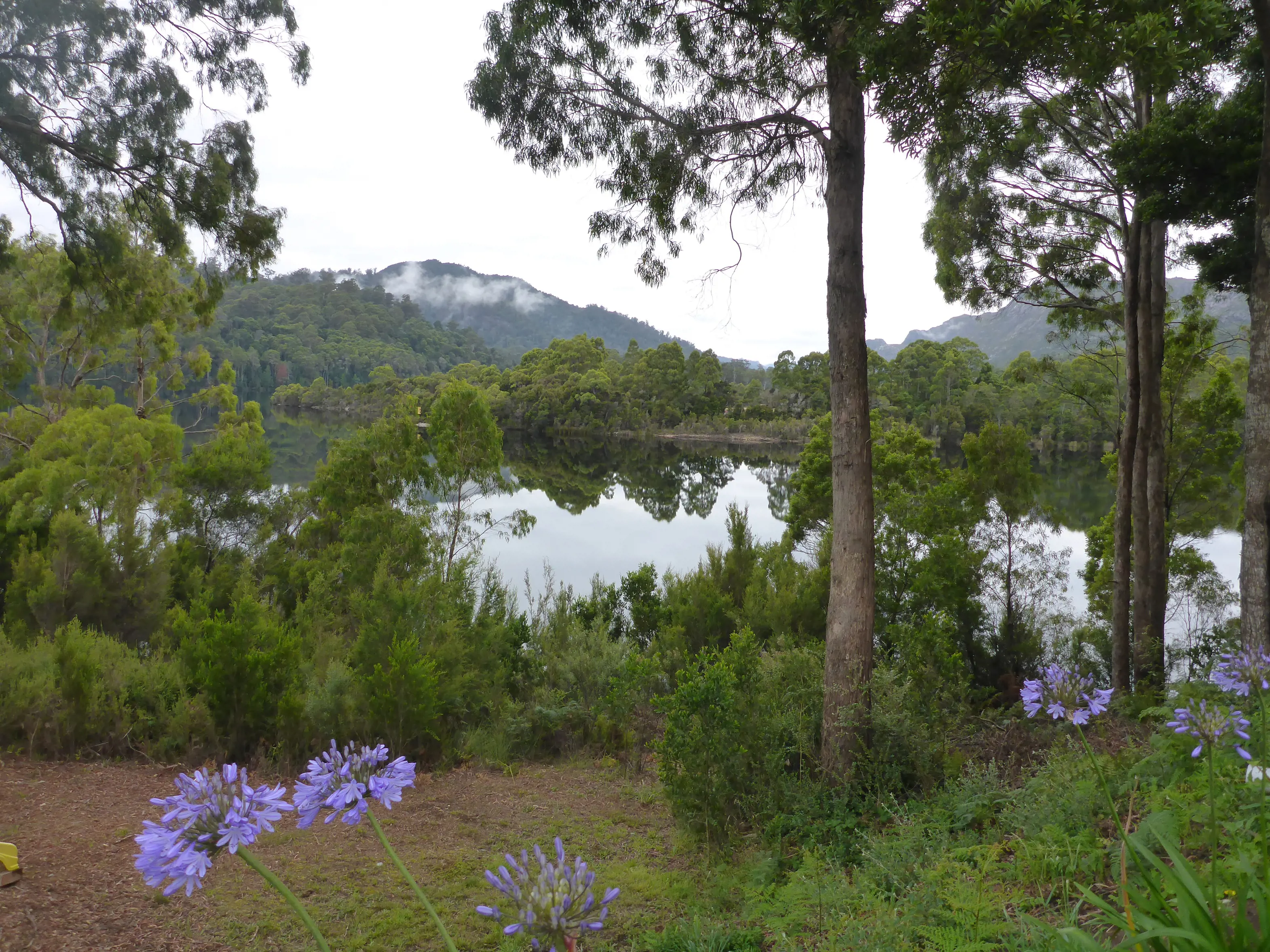 Lake Rosebery taken from Tullah Lodge, mountains and greeny surround the lake.