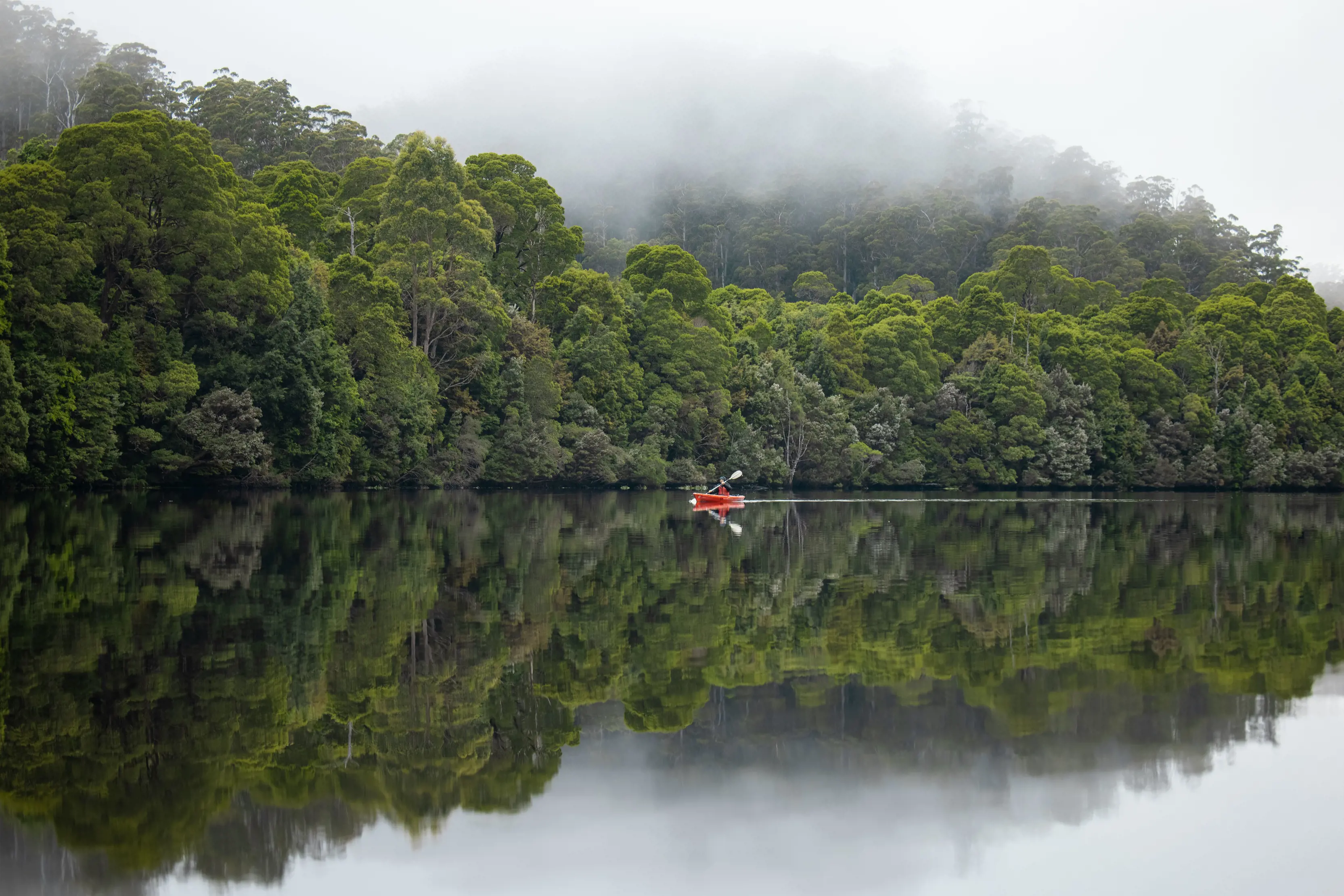 A person kayaks on the Pieman River.