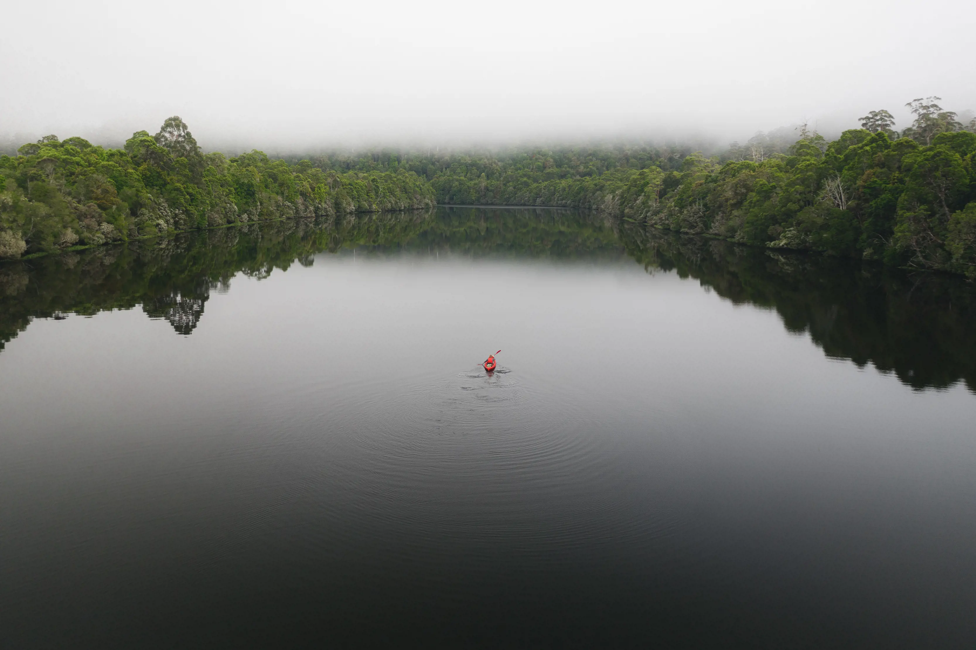 A contrasting, dramatic image taken from above of a person kayaking in the centre on the Pieman River, surrounded by dense rainforest.