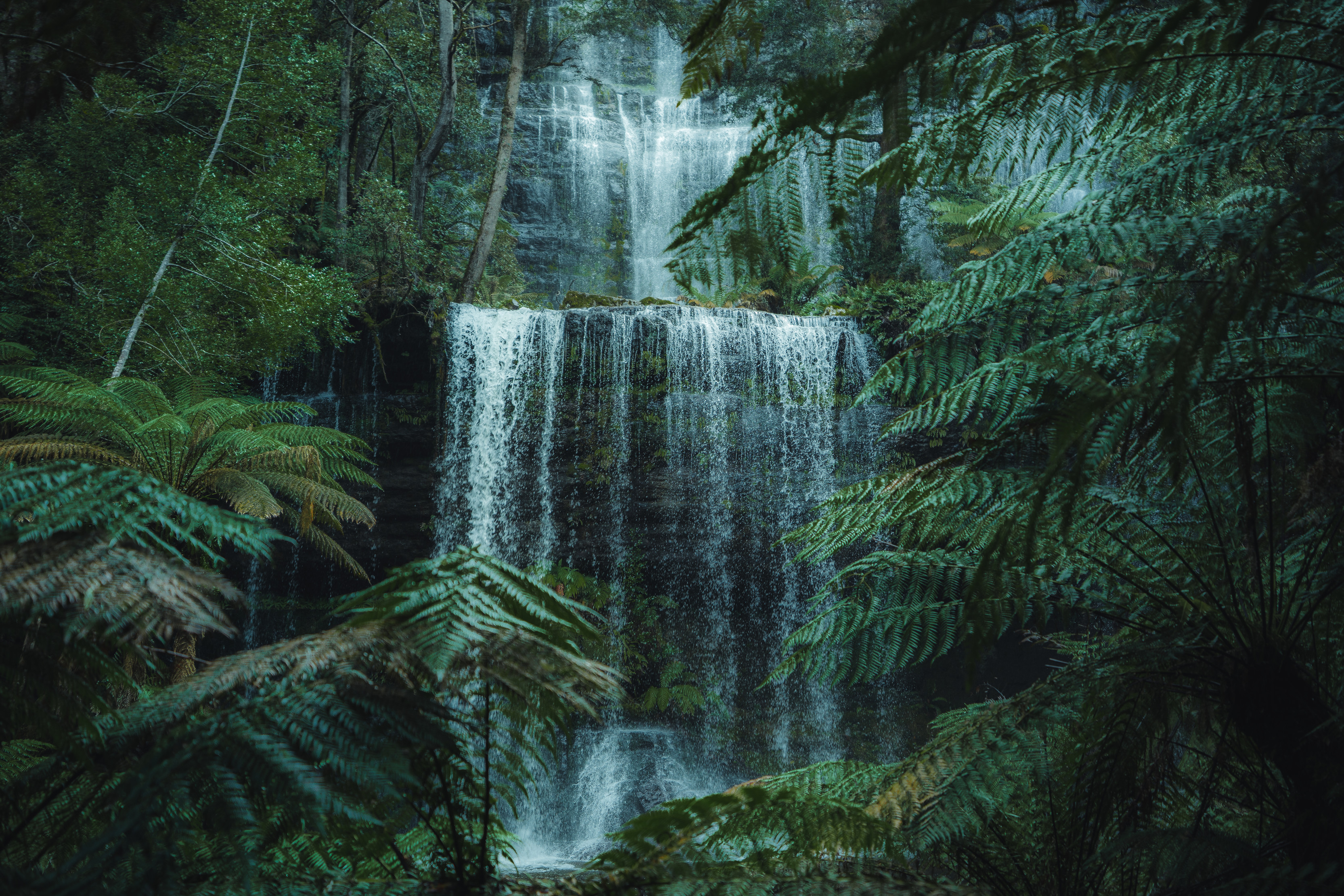 A moody and captivating image of Russell Falls, surrounded by dense, lush rainforest.