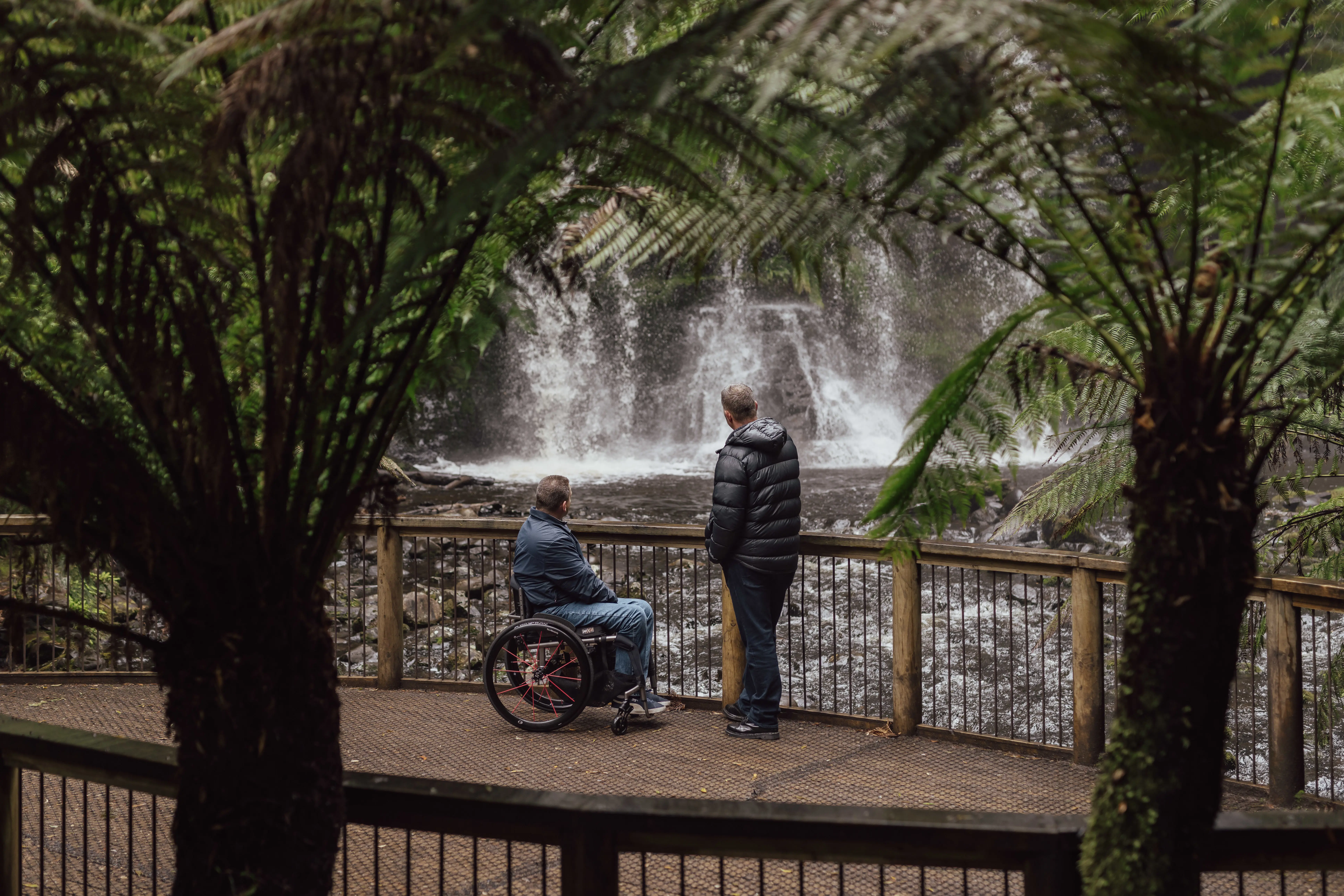 Two men, one sitting in a wheelchair and one standing, on the wooden viewing platform overlooking the Russell Falls. The image is framed by tall fern trees.