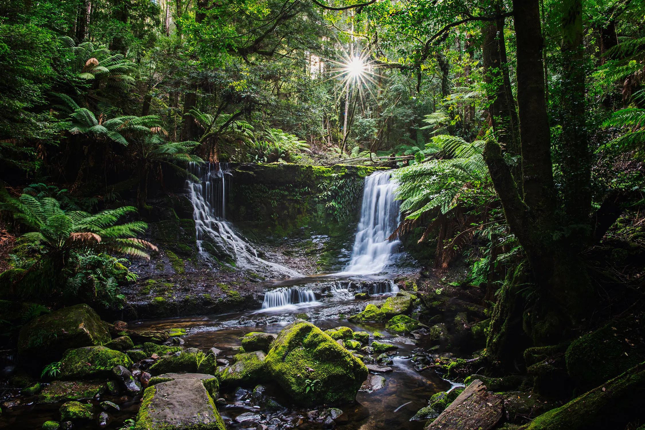 A waterfall in dense rainforest, divided in the middle to form two flowing falls cascading into a pool with ferns and moss-covered rocks.