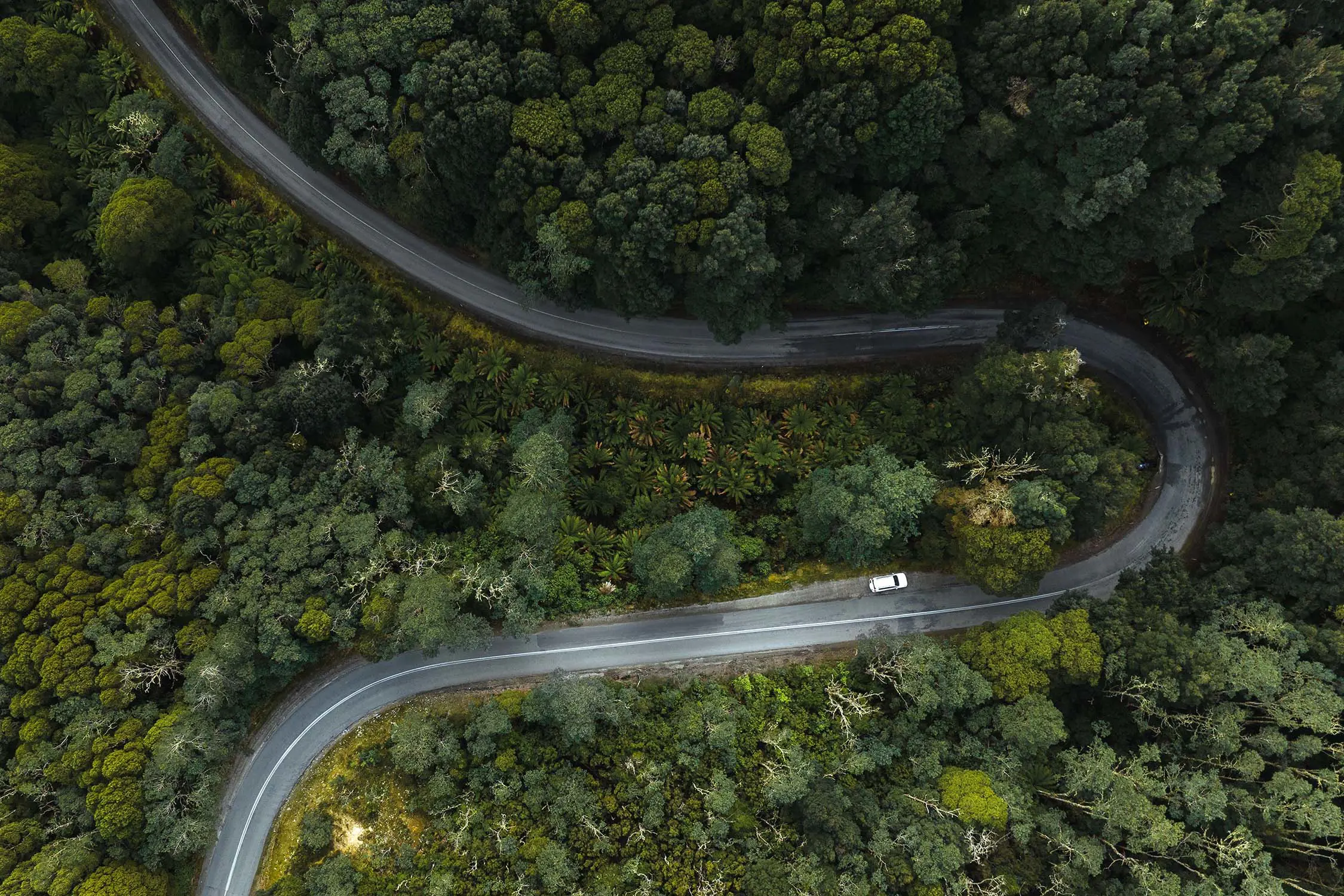 A top-down aerial view of a hairpin bend in a road, winding its way through thick green forest. A small white car on the road is dwarfed by the scene.