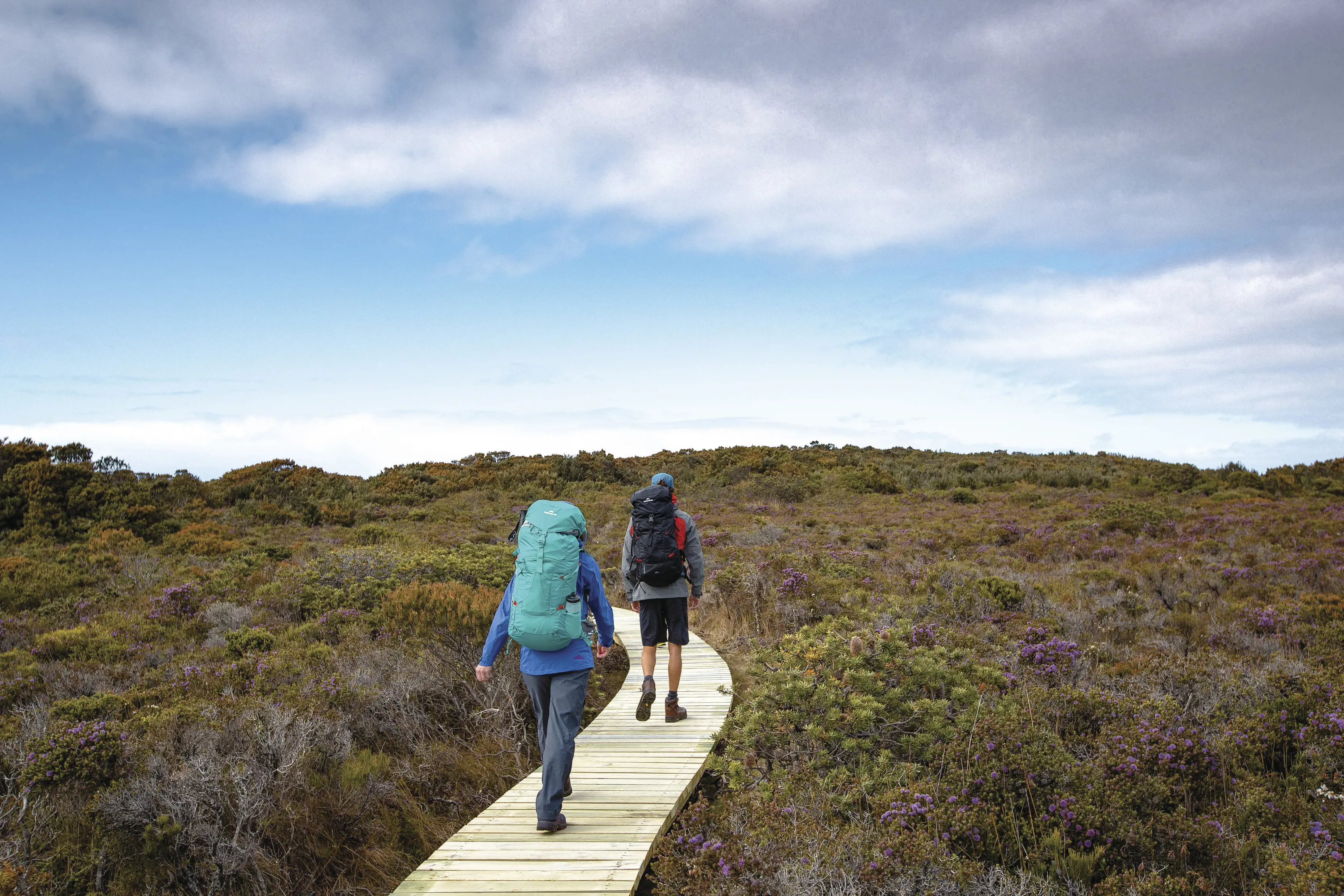 A couple in hiking gear walk along the wooden pathway at Three Capes Track.