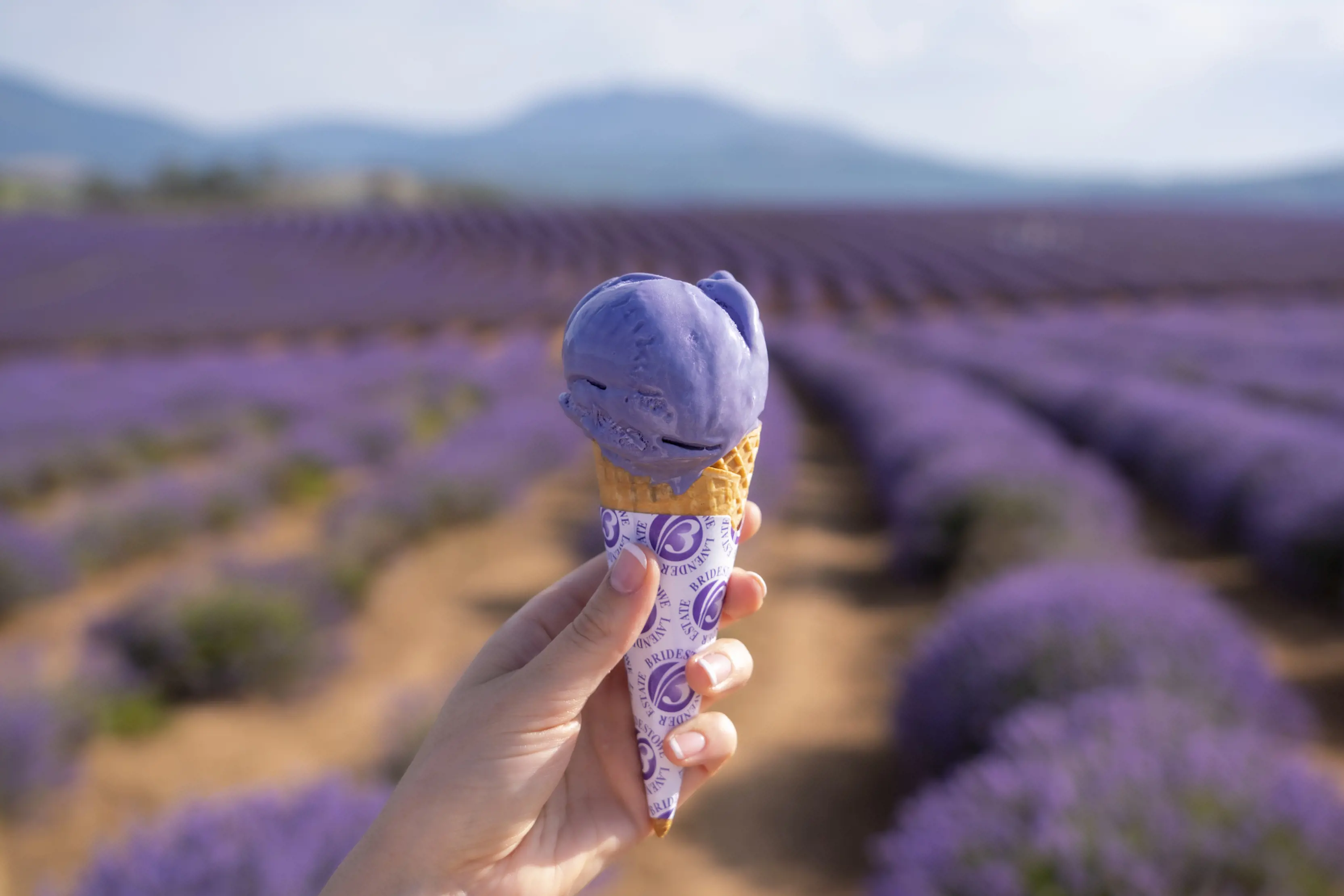 Person holding up a purple ice cream amongst the fields of the Bridestowe Lavender Estate