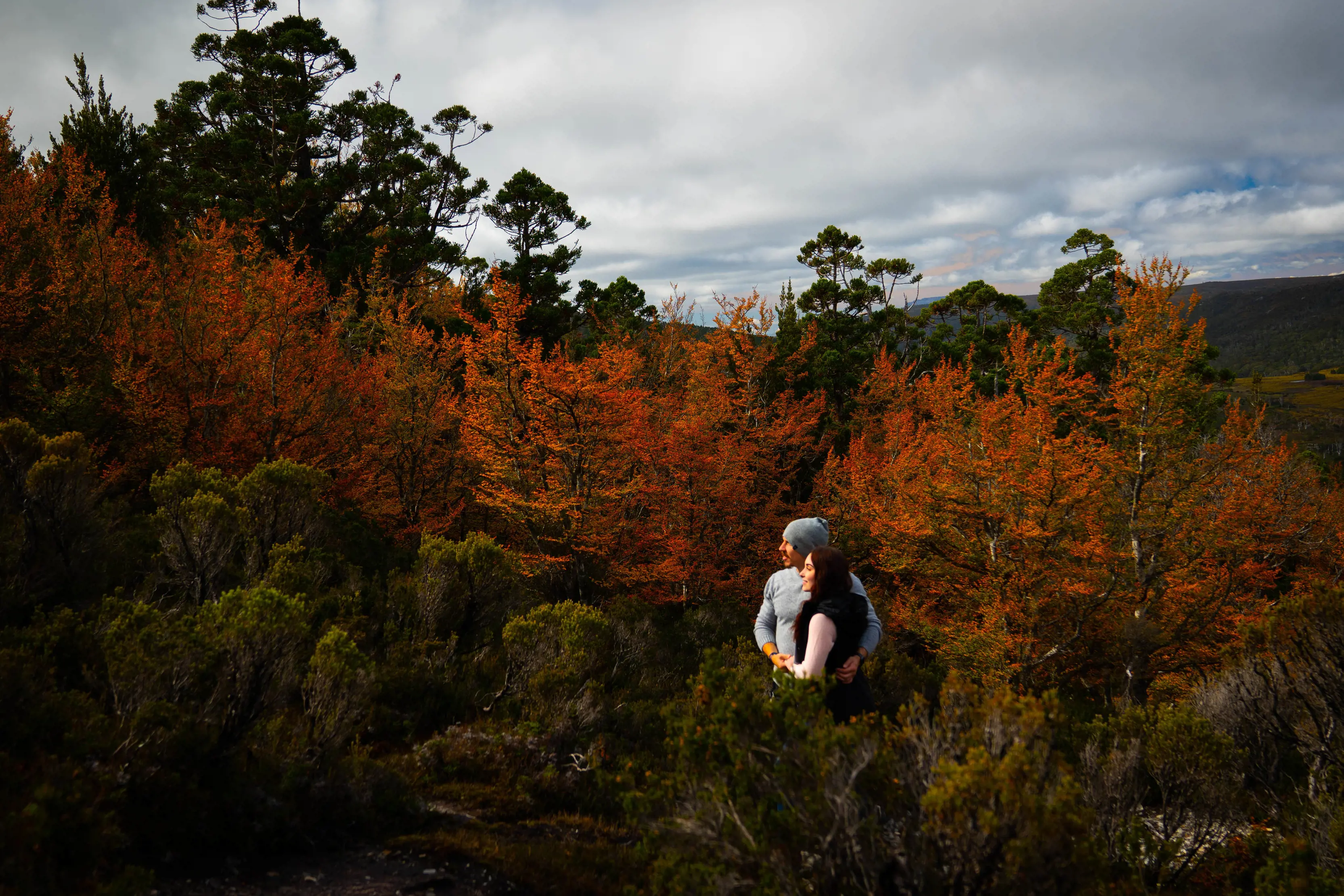 Couple walking through vibrant Fagus at Cradle Mountain.