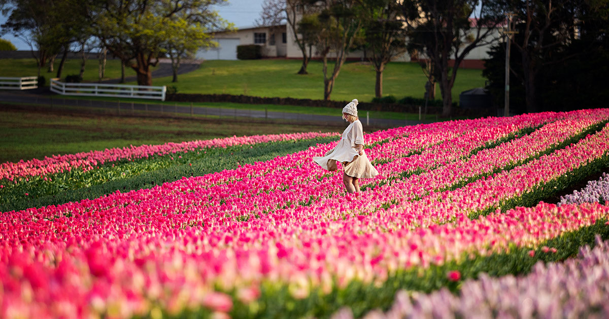 Festivals and events in Tasmania