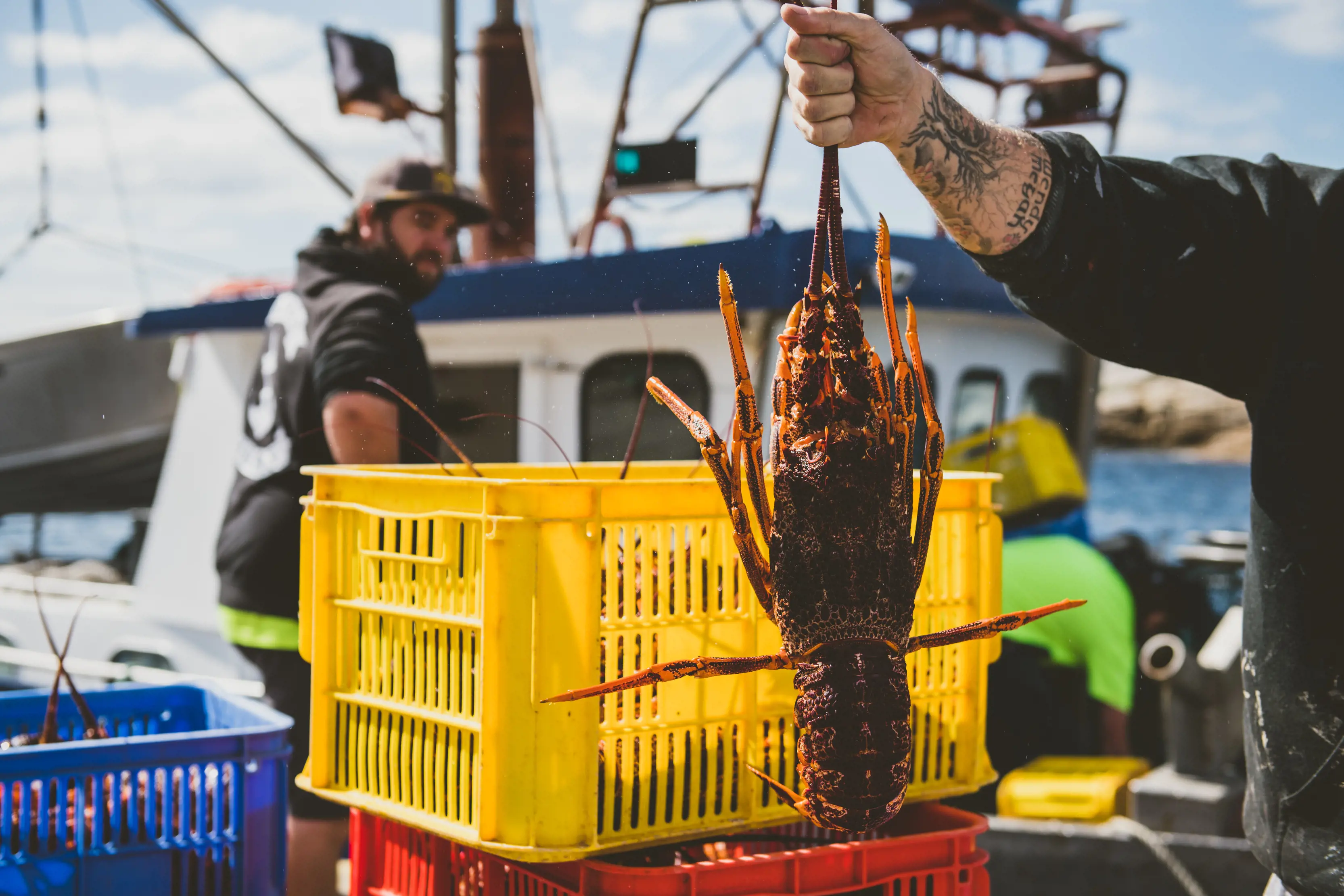  Crayfish at Bicheno wharf