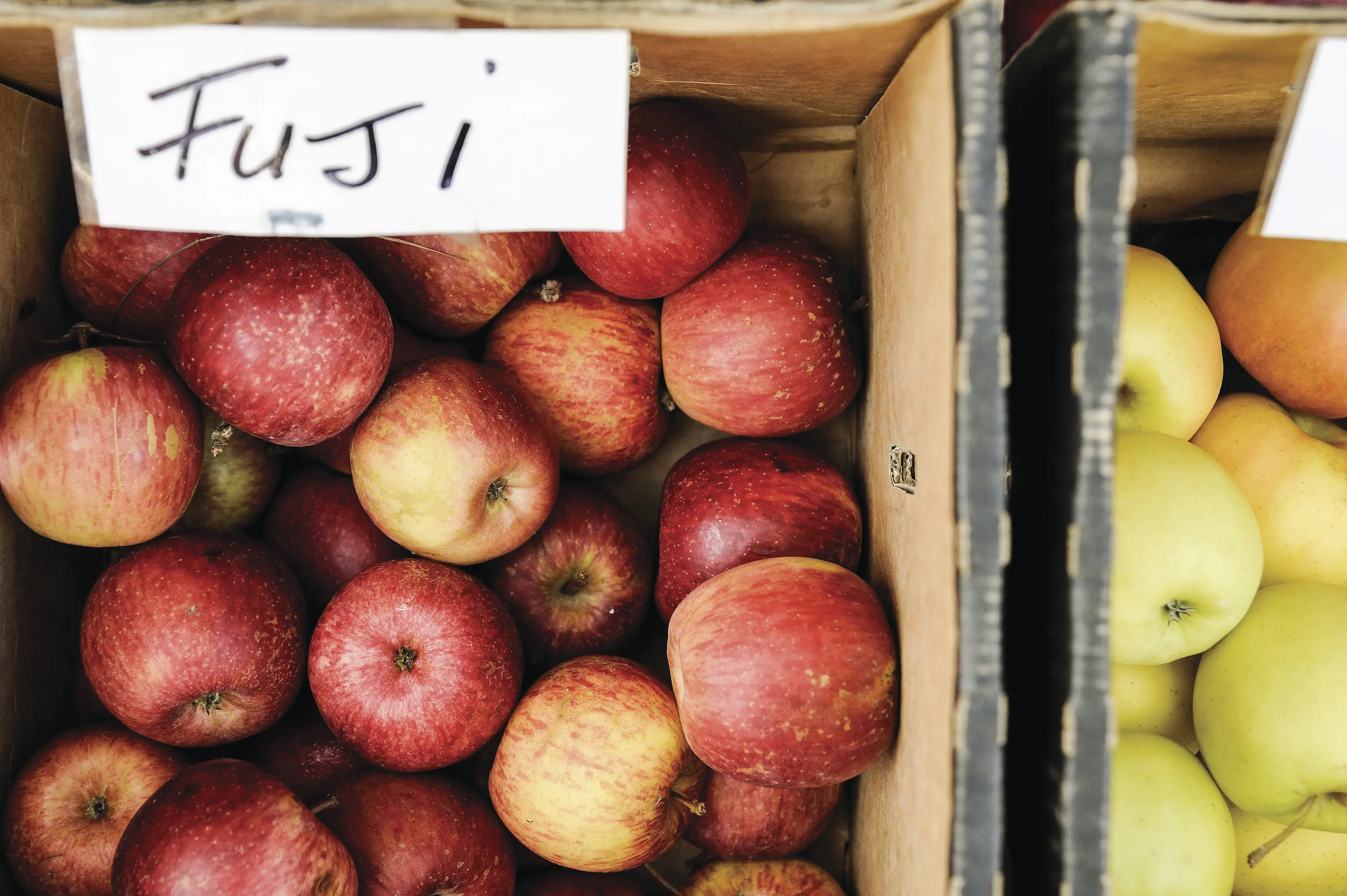 Harvest Launceston Farmers' Market