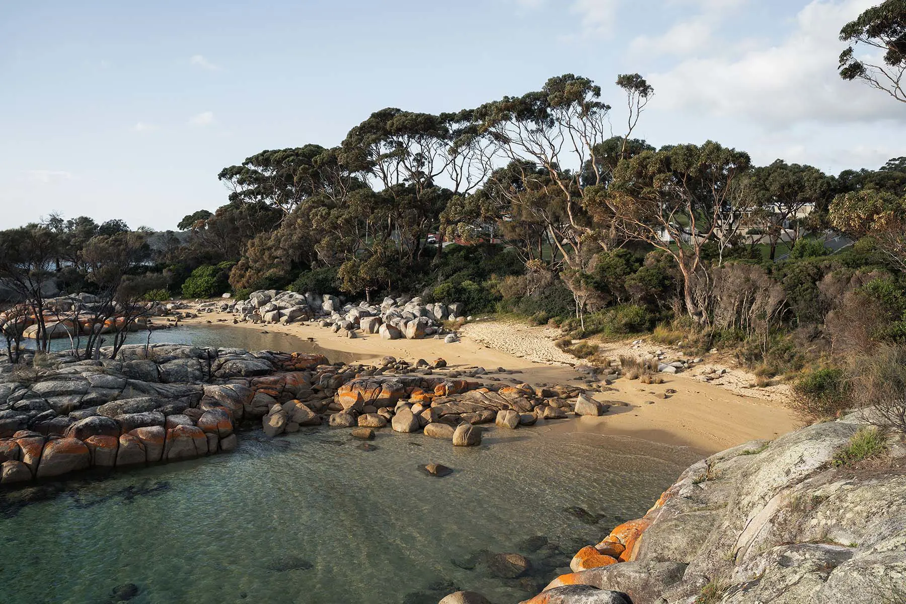 A serene, tucked-away beach. Bush lines the yellow sandy beach, and large rocks with orange lichen are scattered throughout the cool, clear water.