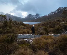 Person walking along a boardwalk track, surrounded by breathtaking landscape of mountains and forest, located in Cradle Mountain.