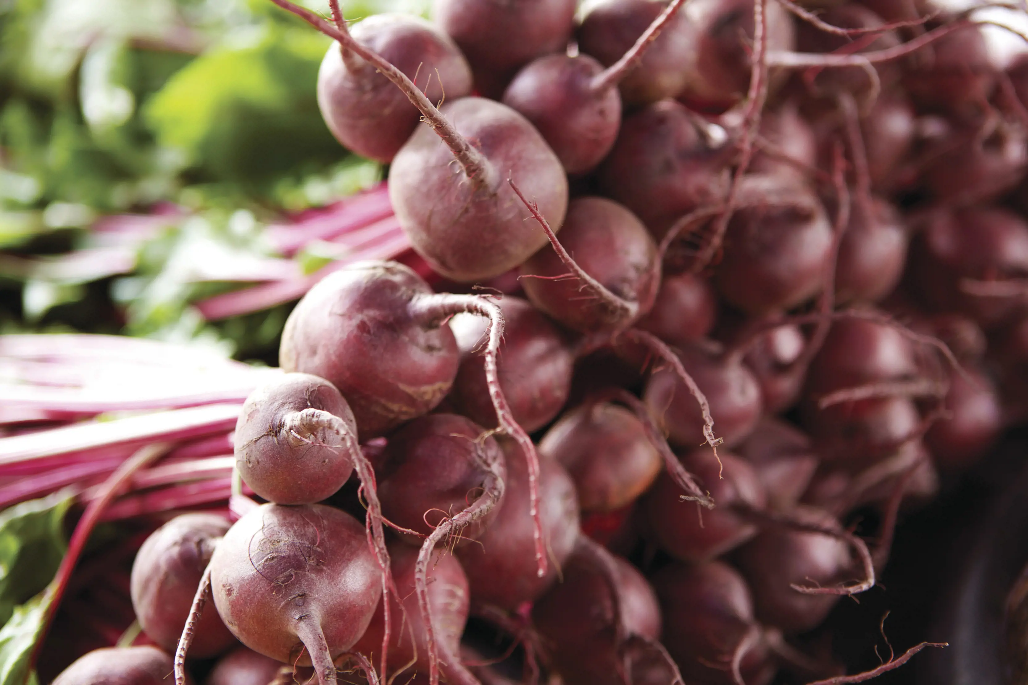 Fresh Tasmanian produce