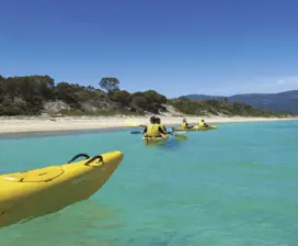Freycinet Adventures take people paddle boarding across a Hazards Beach. 