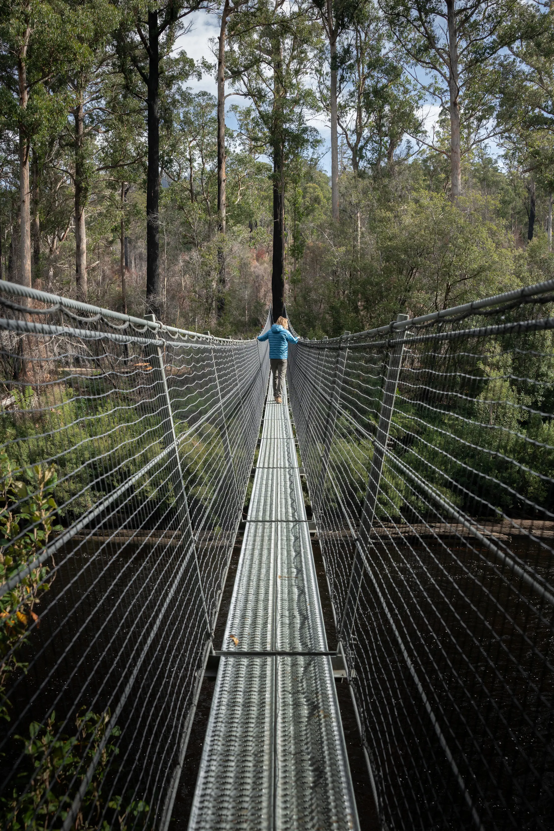 Swinging Bridges