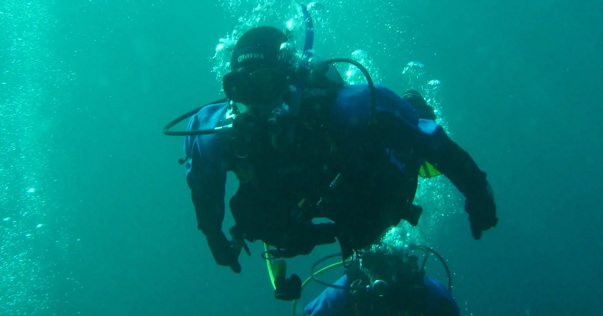 Diving and snorkelling in Tasmania | Discover Tasmania