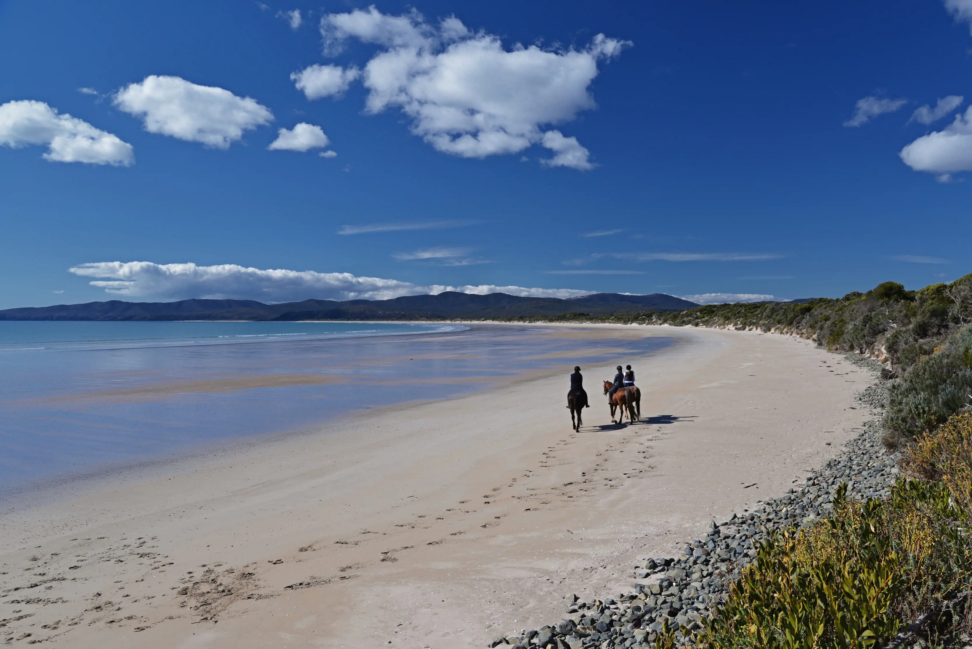 Stunning aerial image of three people horse riding on Bakers Beach, Narawntapu National Park, on a clear, sunny day.