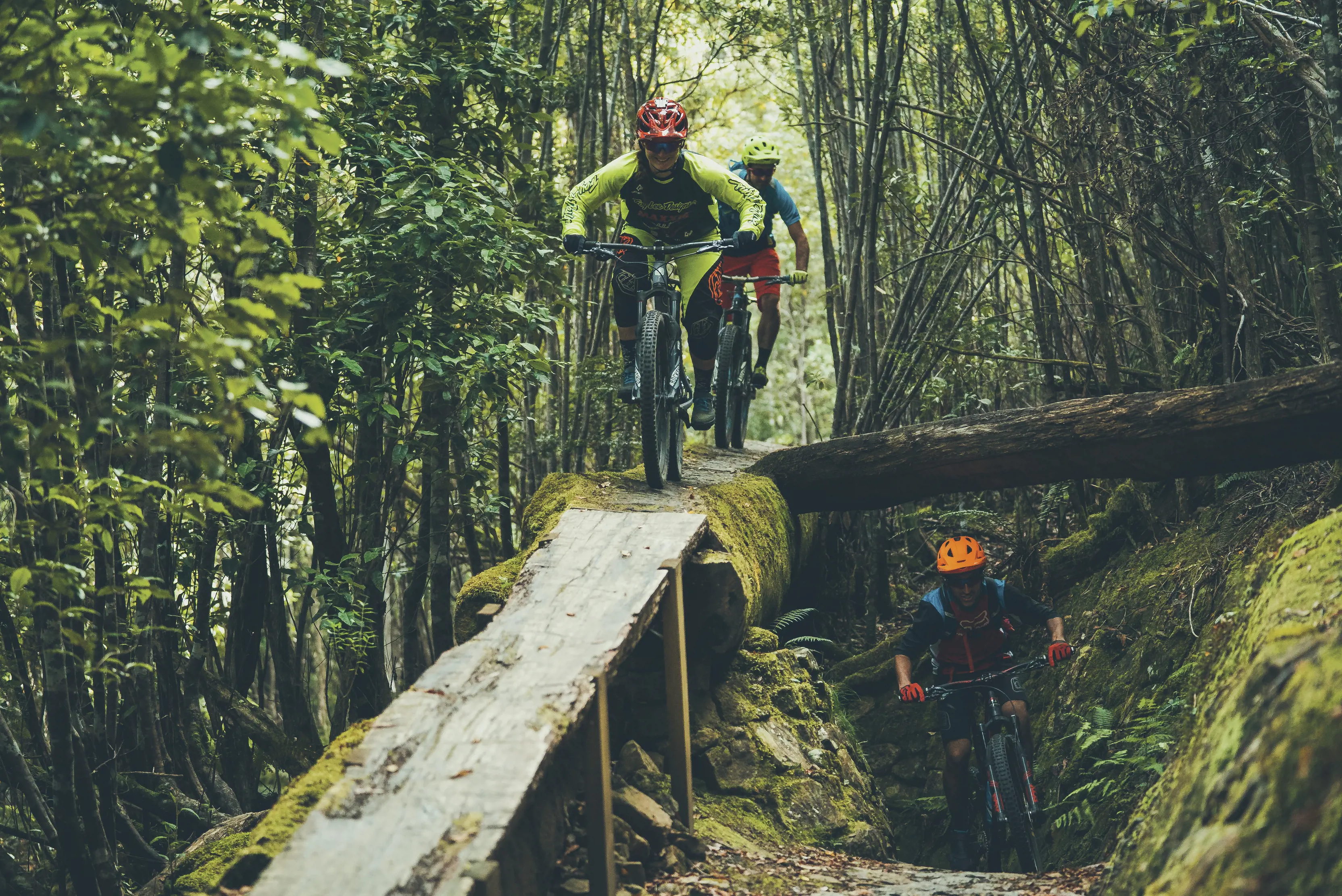 Cyclists ride a steep, narrow track on the North South Track, kunanyi / Mt Wellington. In the background, another rides under a tree.