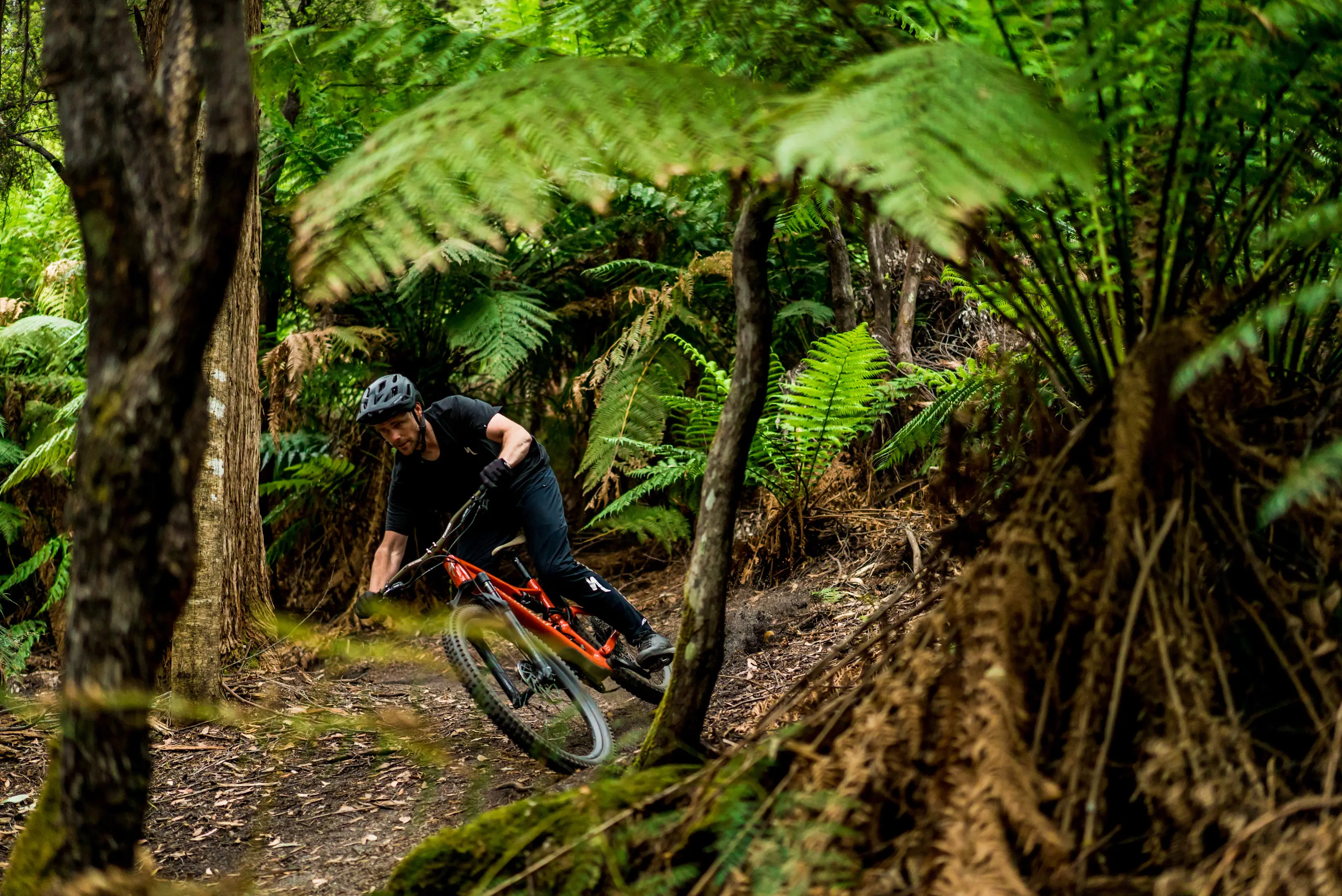 Blue Derby Mountain Bike Trails