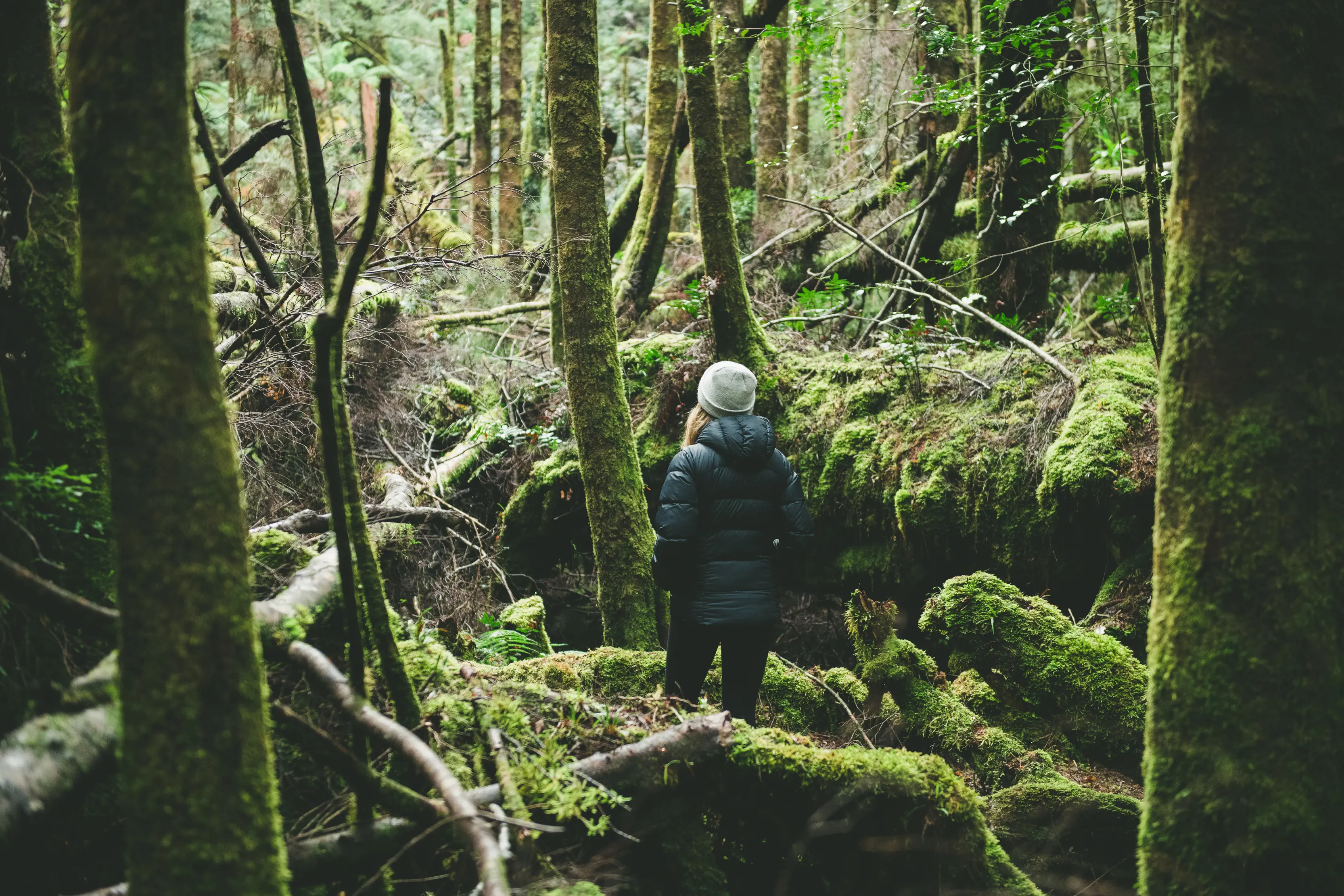 Lady rugged up, walking through the lush, mossy, green forest of the Franklin River Nature Trail.