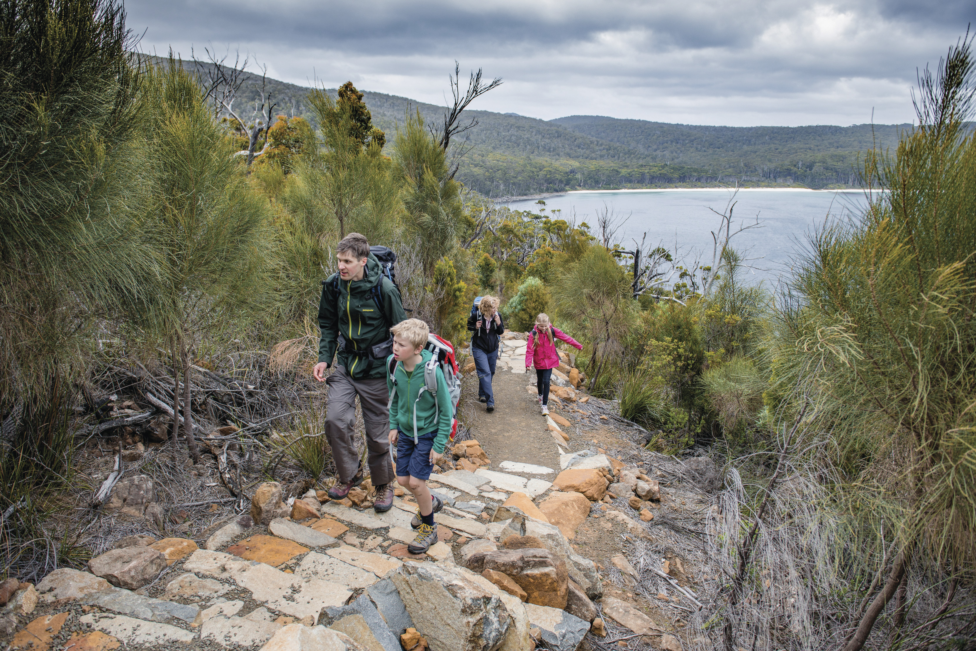 Group of people walking up stone steps on the Three Capes Track, surrounded by lush bushland, with clear water in the background.