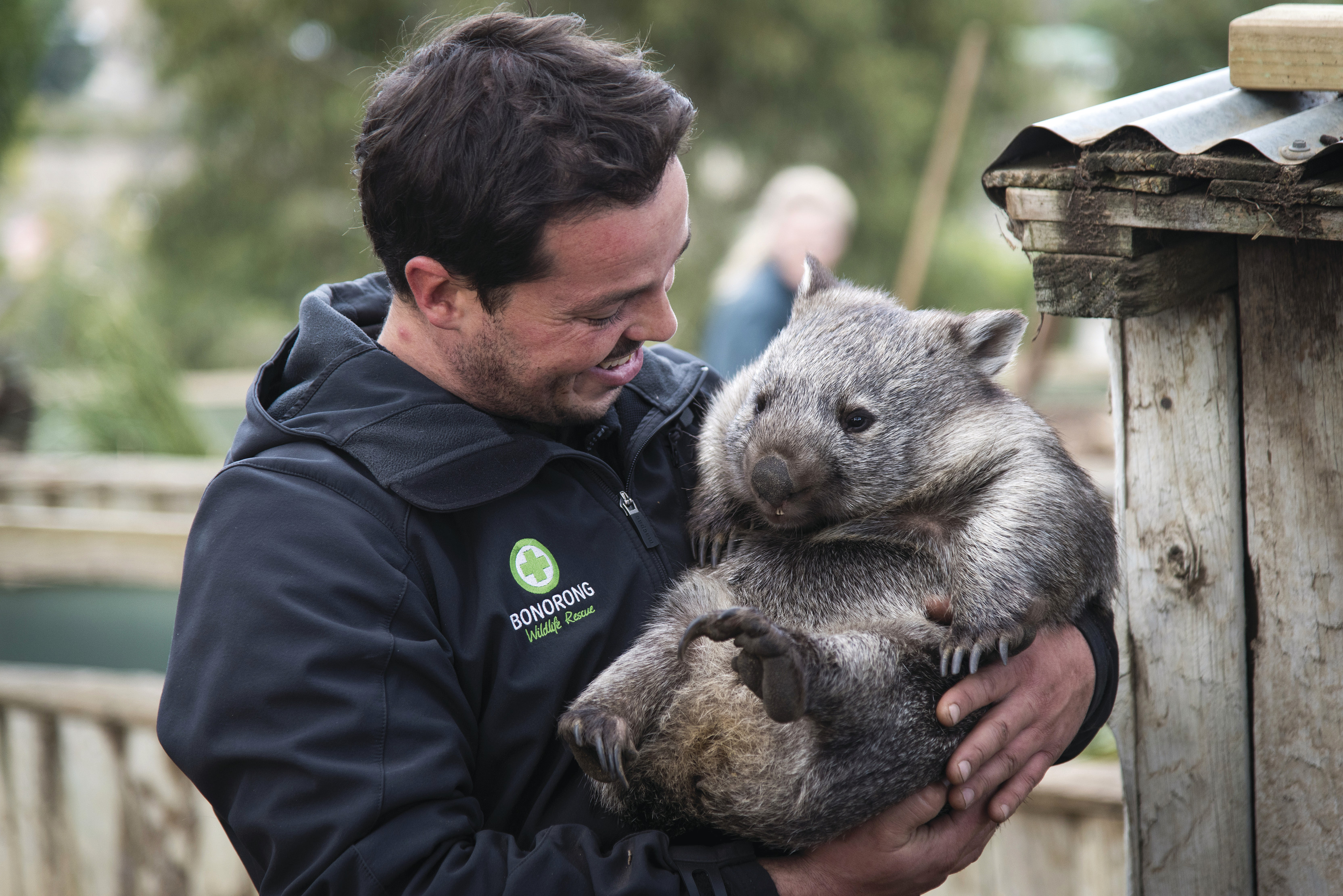 Greg Irons cuddling a wombat at Bonorong Wildlife Sanctuary.