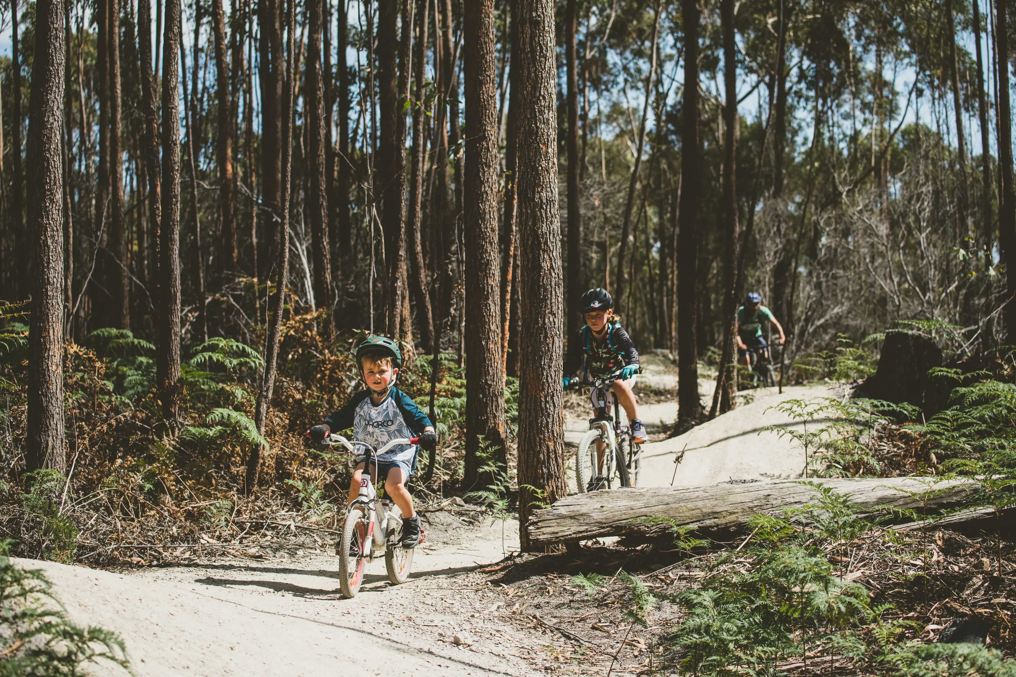 Two young kids mountain bike riding along a track as the Dad follows in the distance, within the St Helens Mountain Bike Trails.