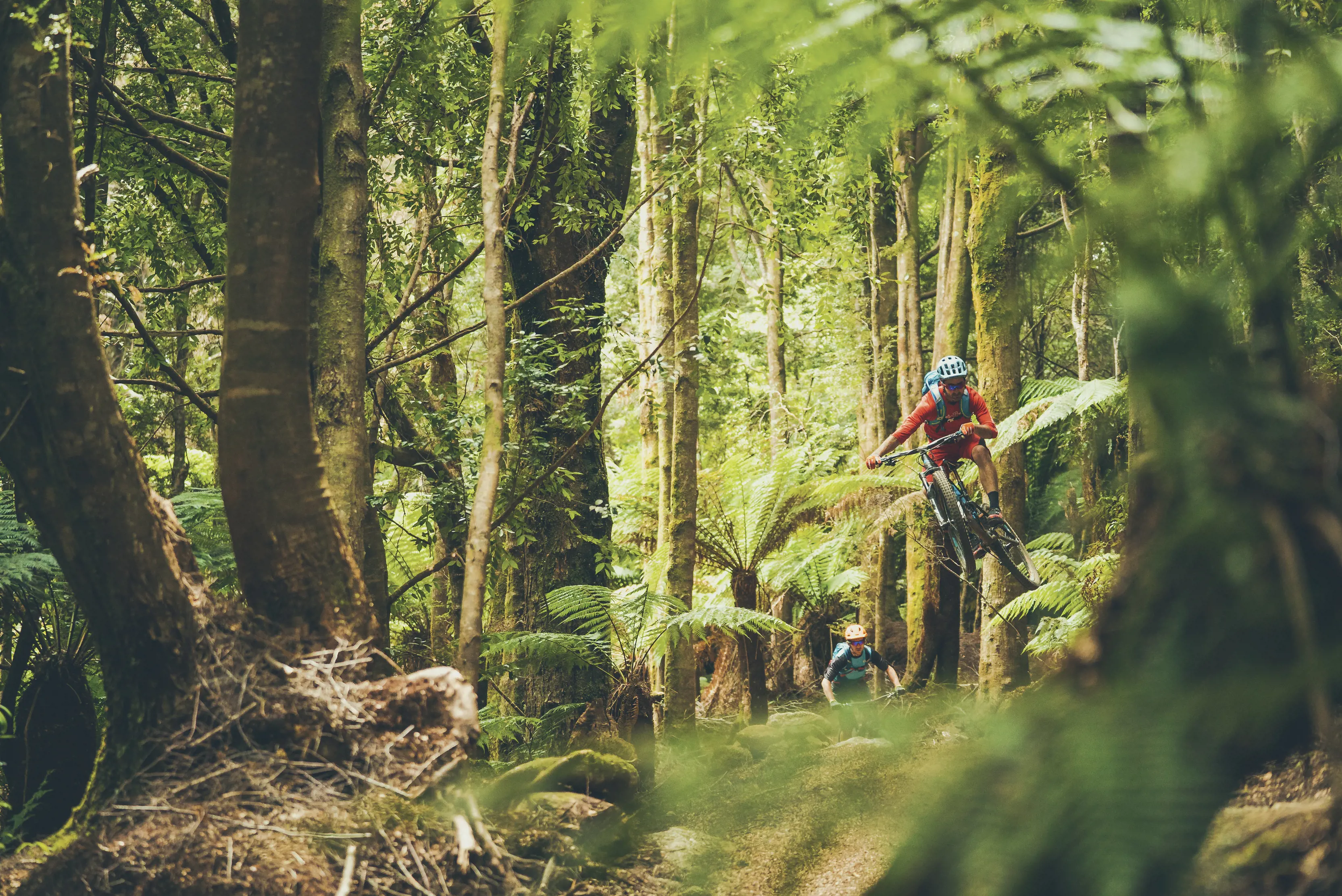 Vibrant action shot of person on their mountain bike, going off a jump, with Blue Derby Mountain Bike Trails, Blue Tier Descent.