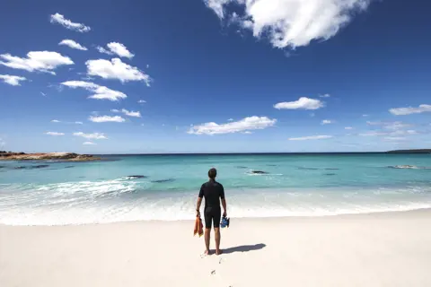Image of a man standing on the sand with fins and a camera looking out into the pristine blue ocean of the Bay of Fires.