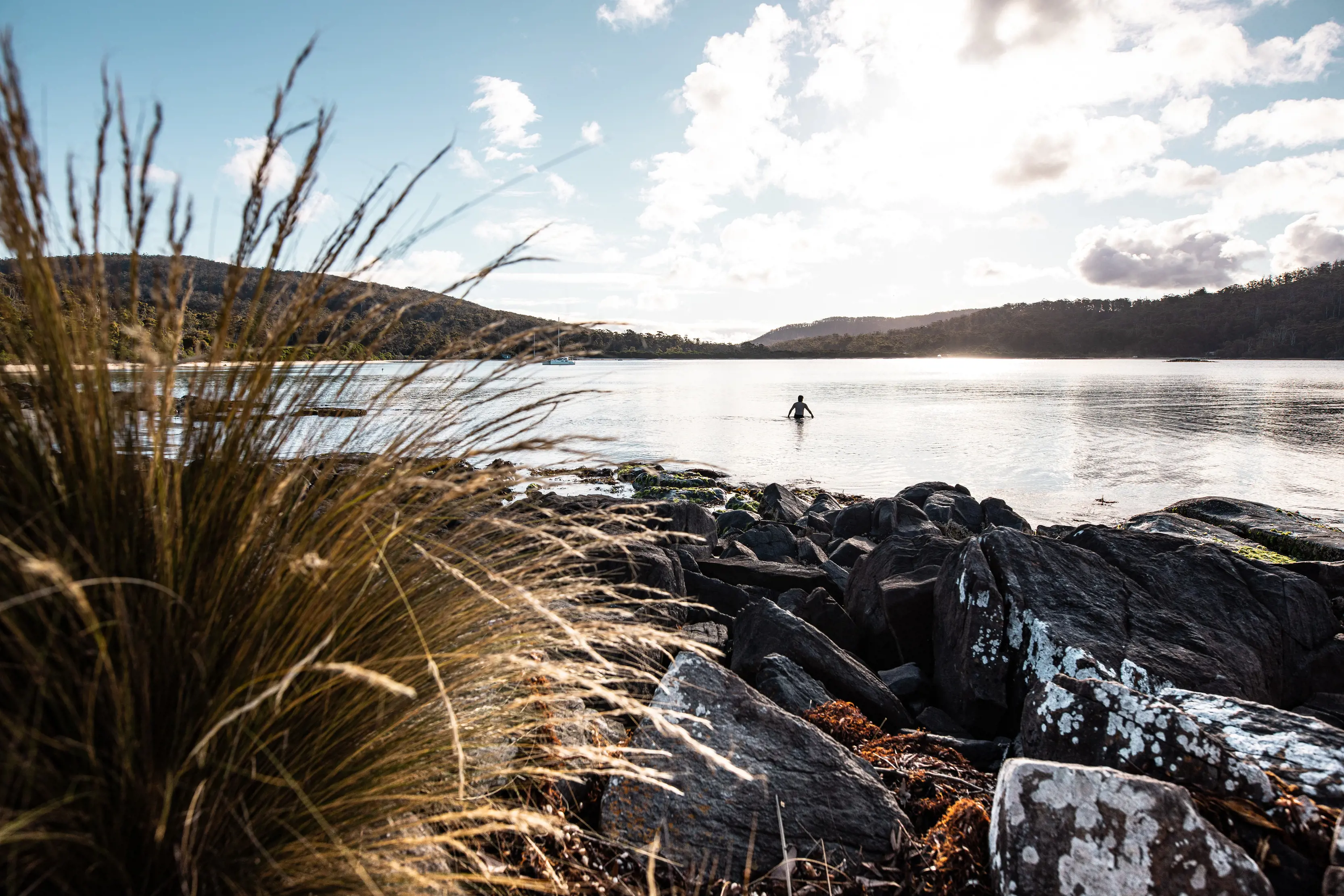 Incredible wide angle image taken behind reeds of a person swimming in Cockle Creek, on a clear, sunny day.