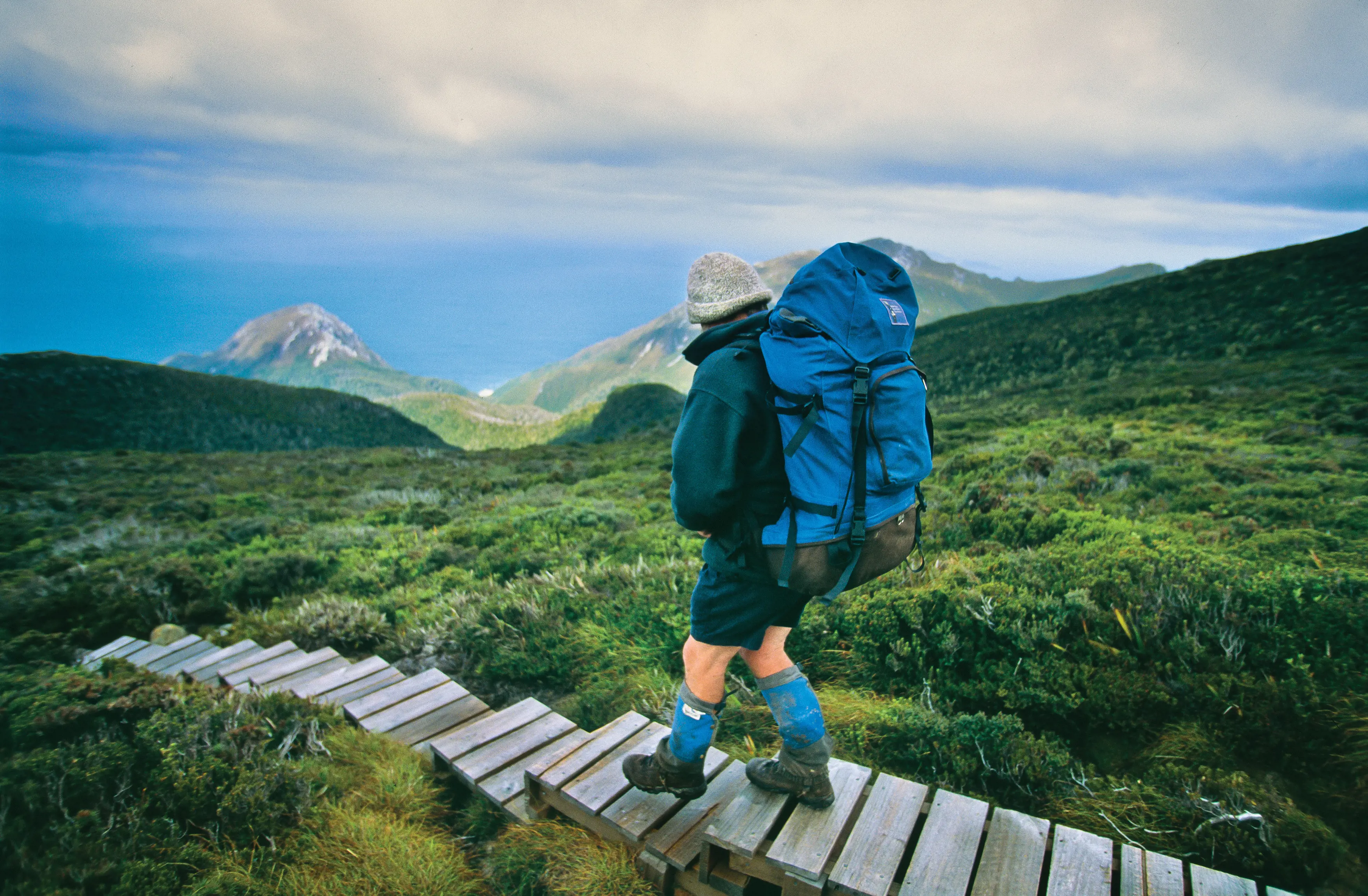 Hiker walking down the wooden path of the South Coast Track, overlooking breathtaking scenery with lush bushland, mountains and ocean.