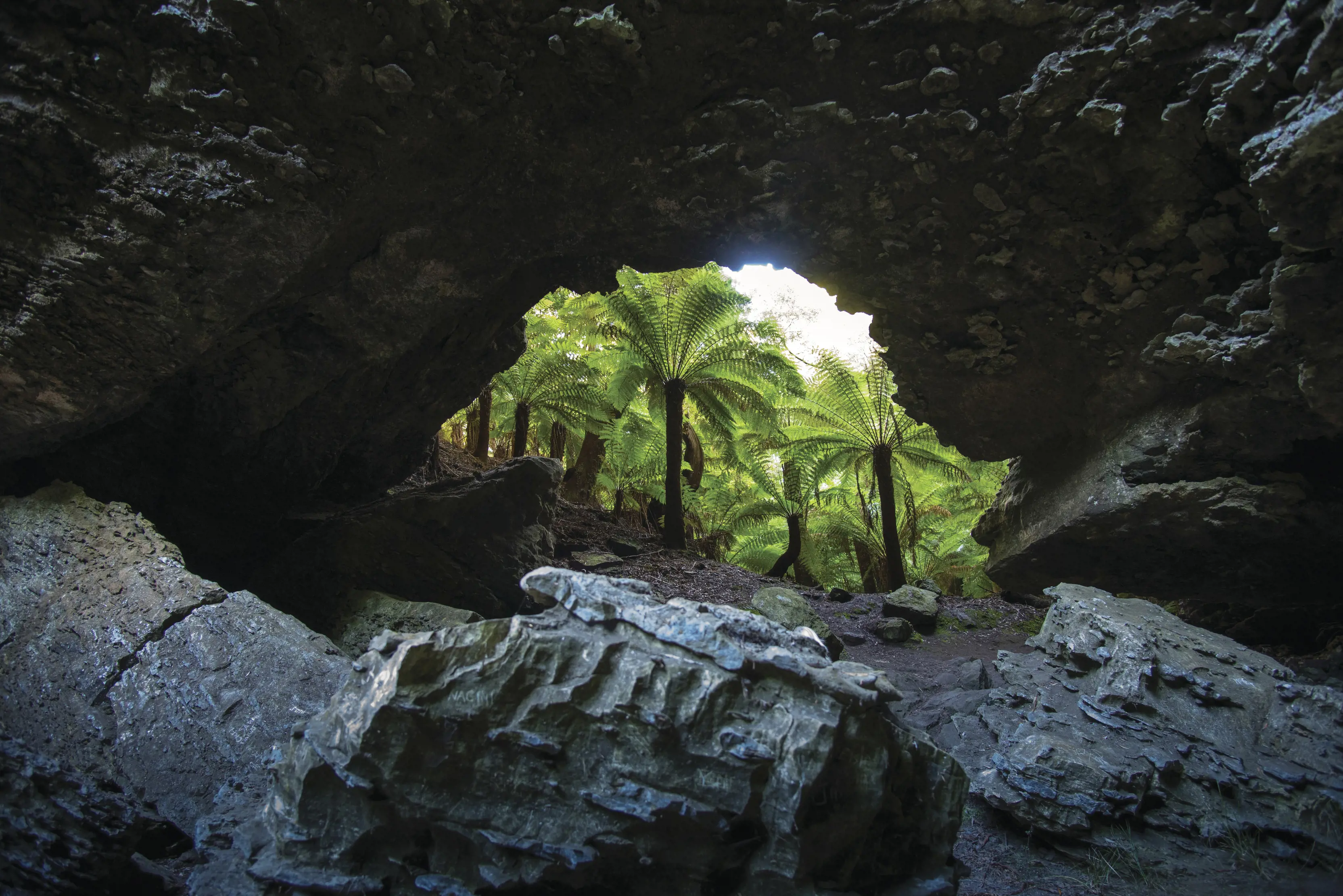 Image of the Trowutta Arch up close with lush, green ferns through the other side of the arch.